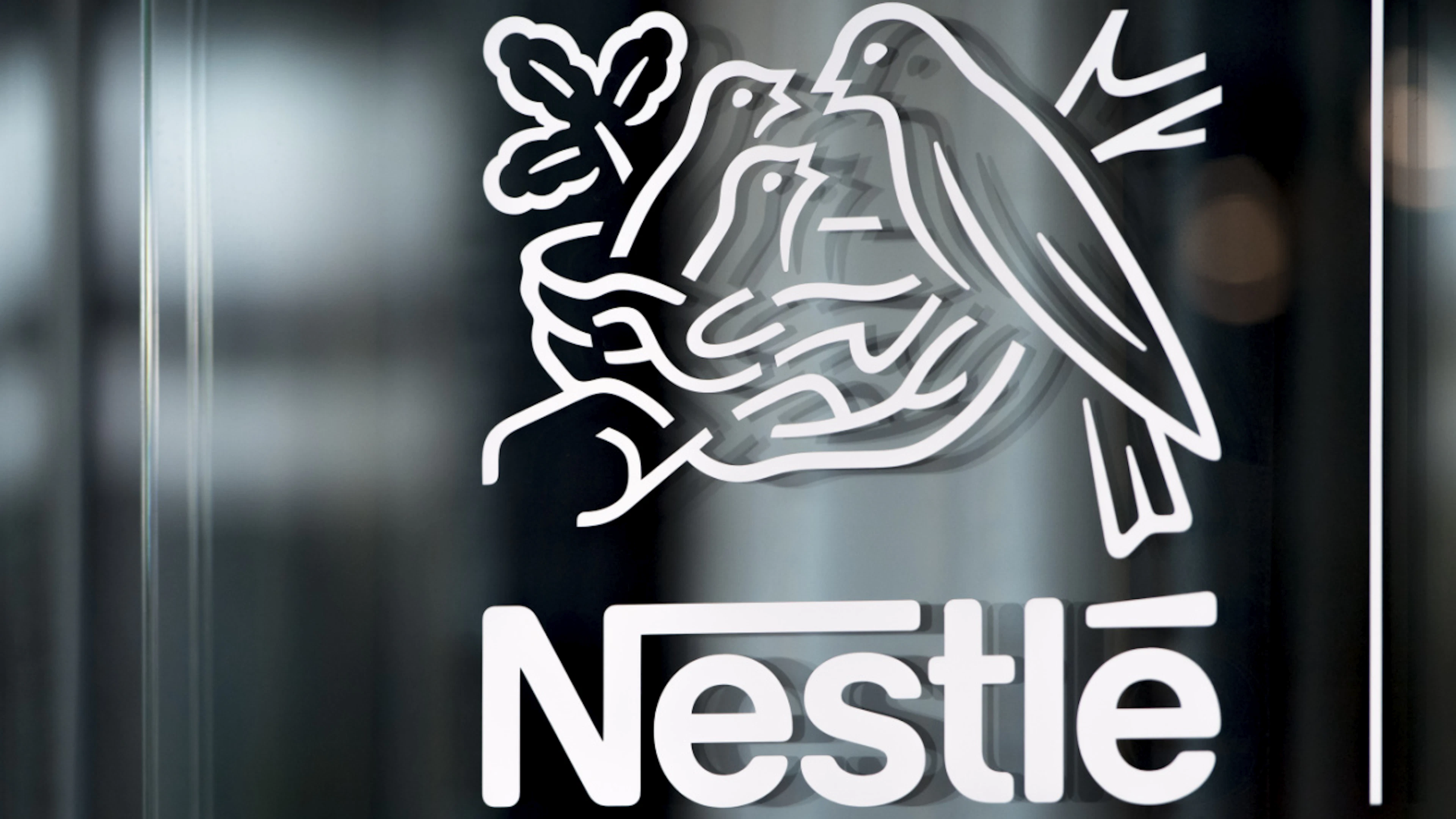 The Nestlé Group is investing in pet food production in Europe. In Mantua, northern Italy, its subsidiary Purina is building a factory at a cost equivalent to 520 million Swiss francs. (File photo)