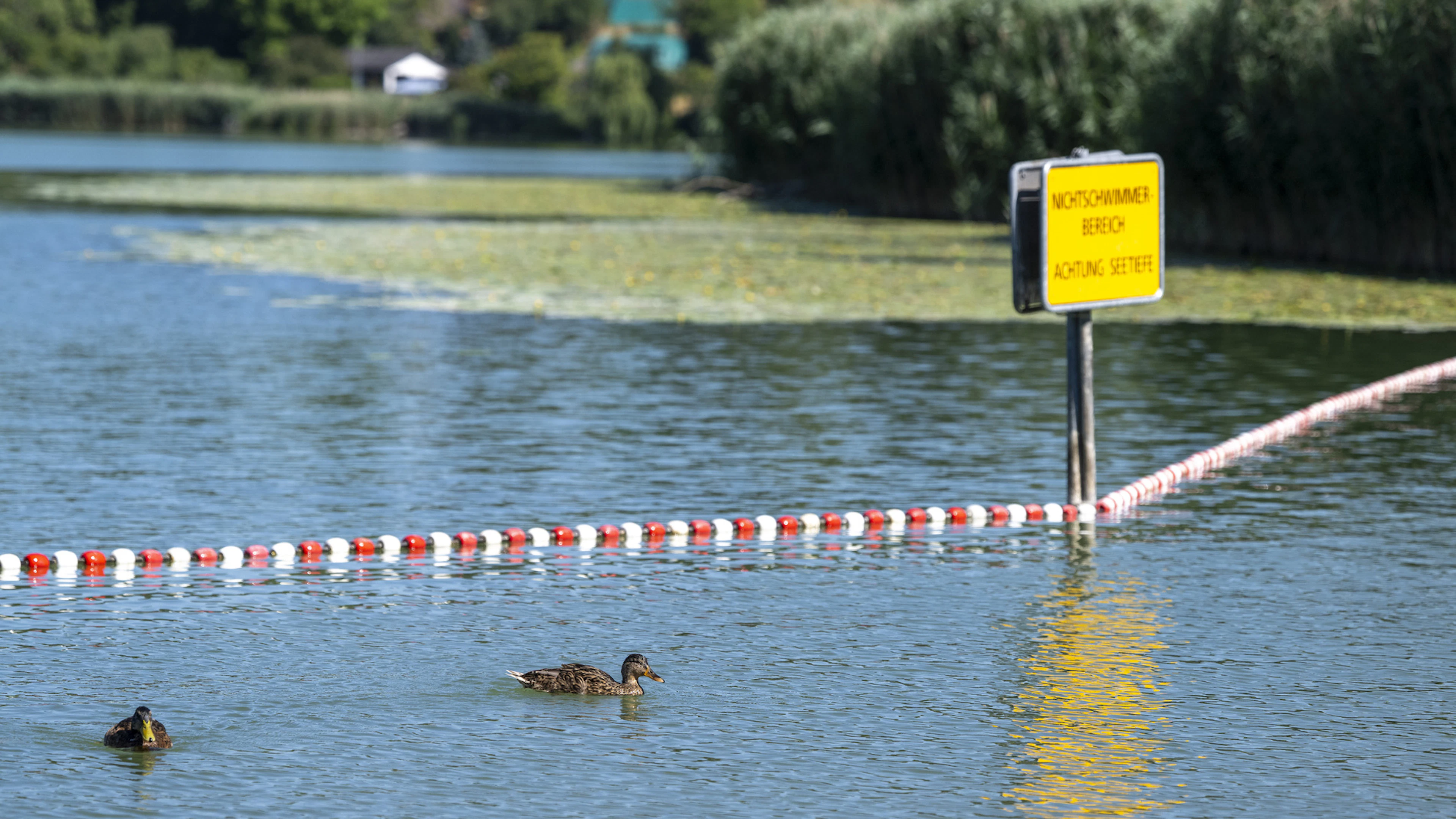 Décès d'un homme dans en accident de baignade à Moosseedorf