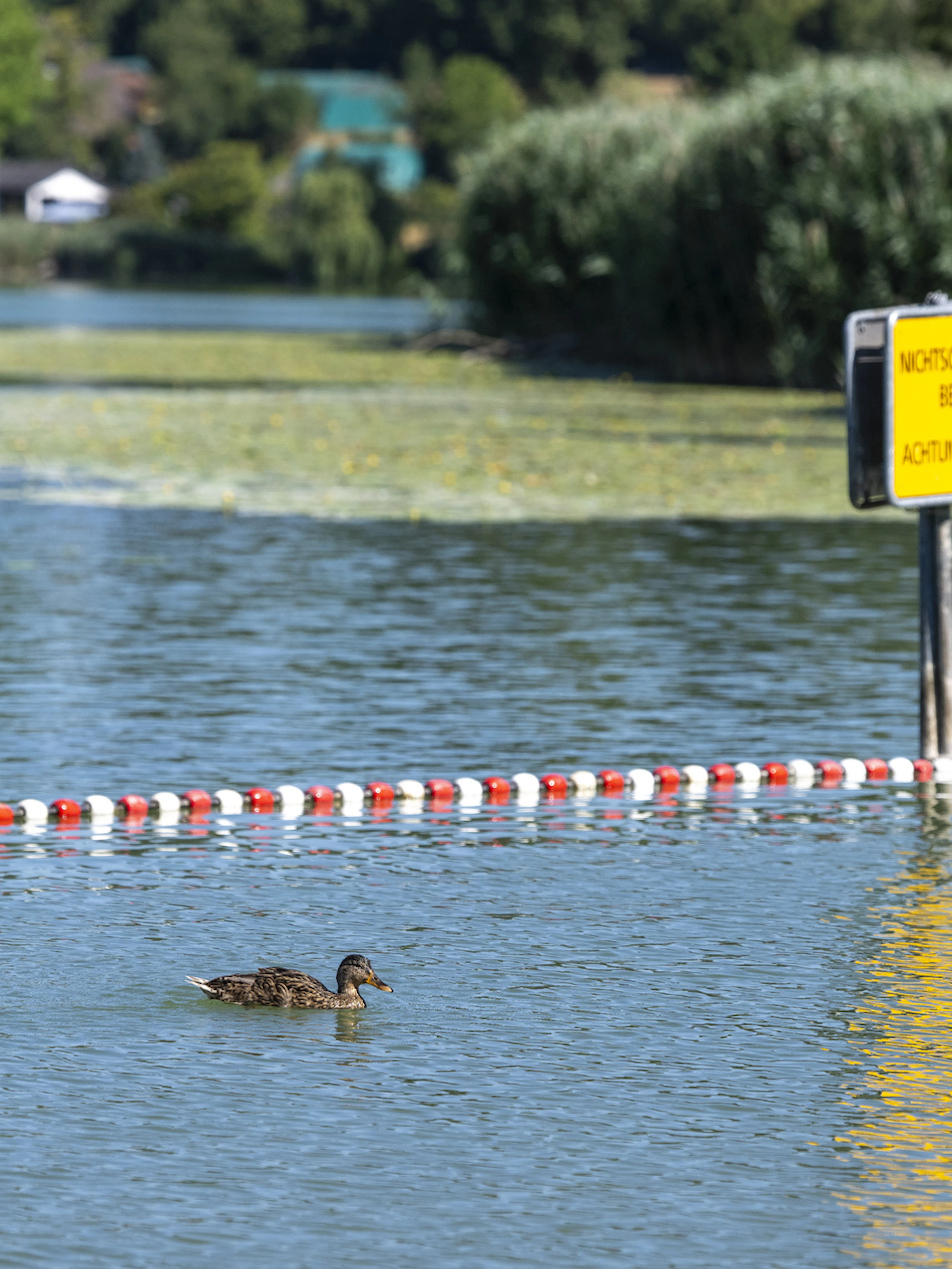 Décès d'un homme dans en accident de baignade à Moosseedorf