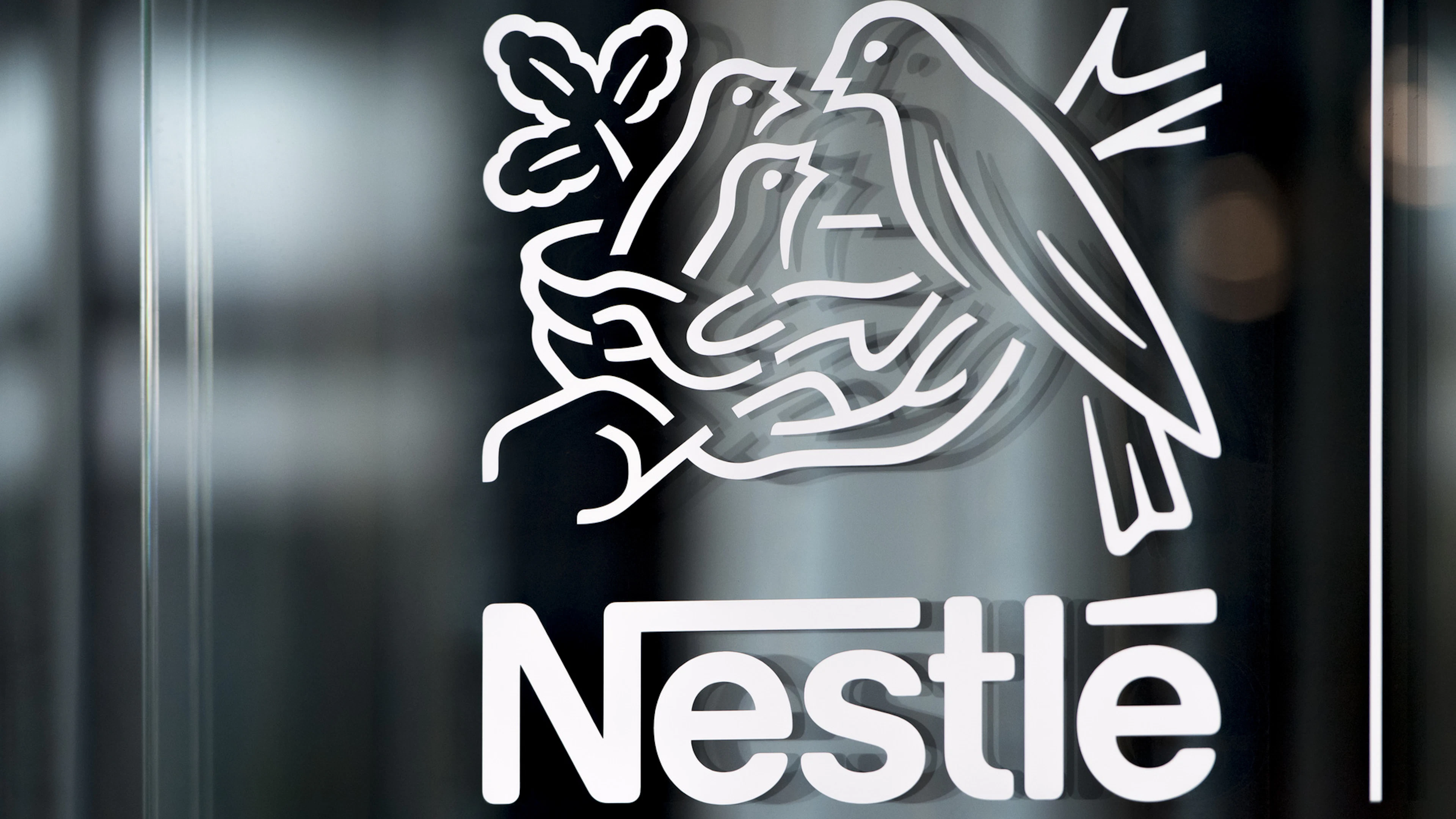 Le secteur des produits pour animaux de compagnie représente désormais 29% du chiffre d'affaires de Nestlé en Europe (image prétexte).