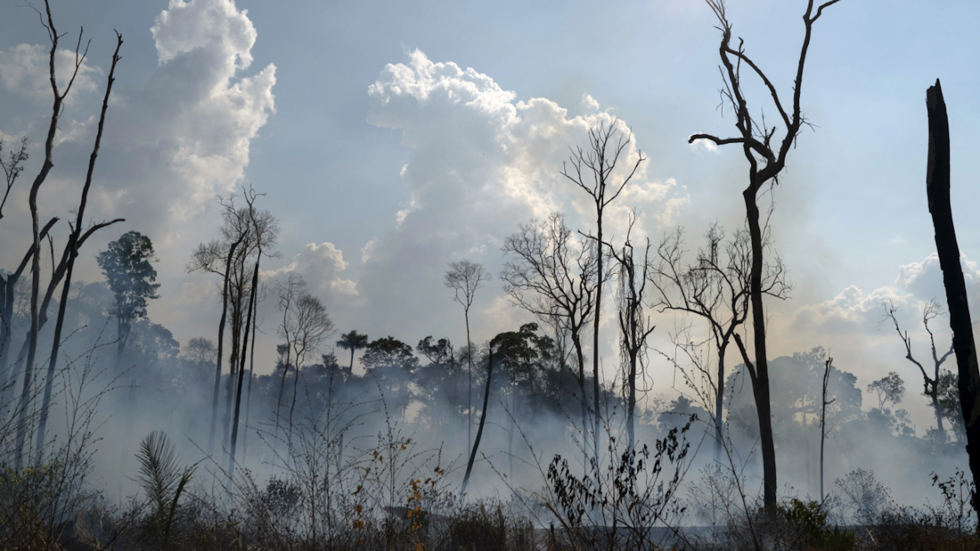 Des feux historiquement bas en 2025 en Amazonie brésilienne