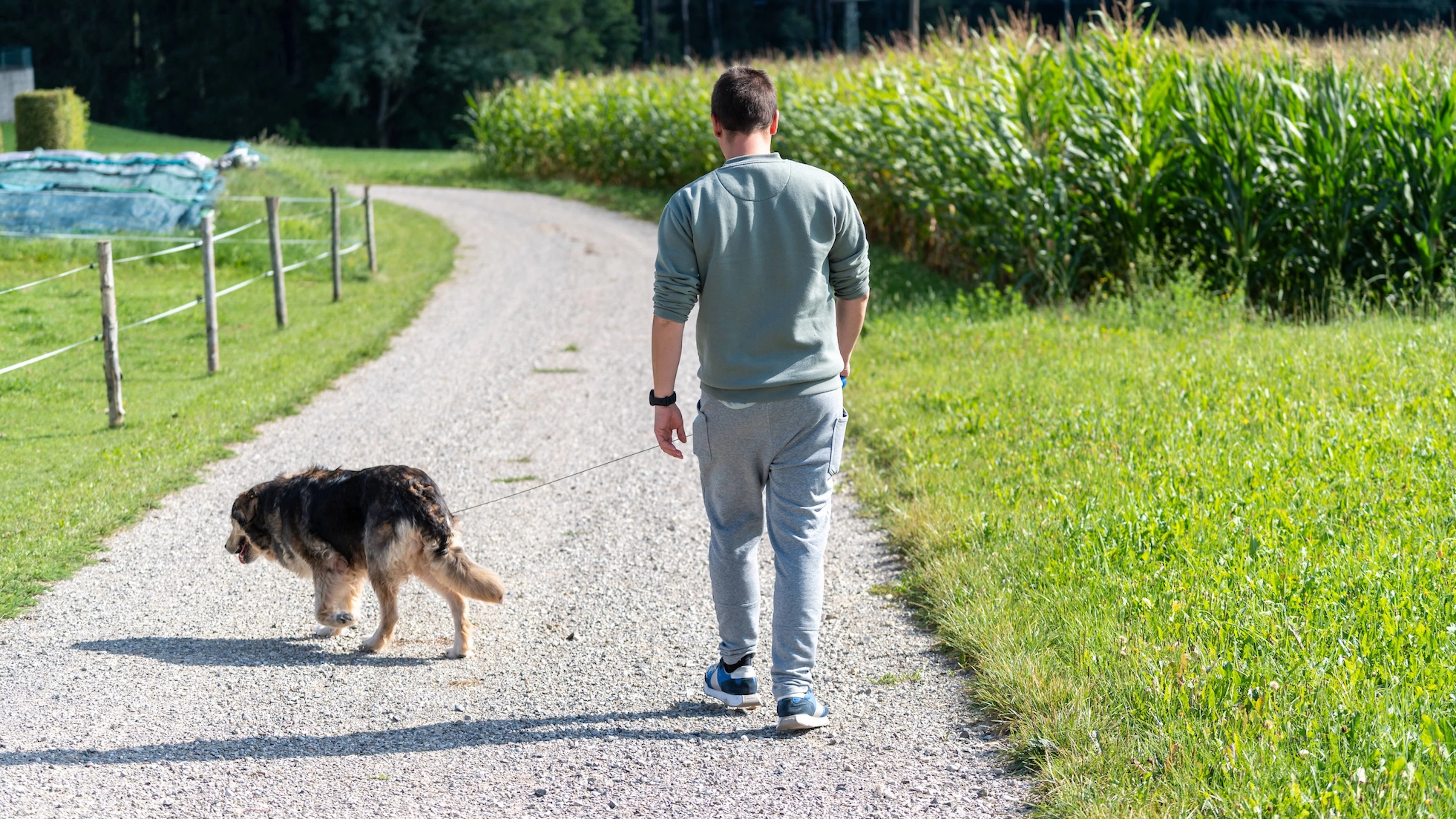 Spülst du hier Hunde-Bisi nicht weg, droht dir eine saftige Busse