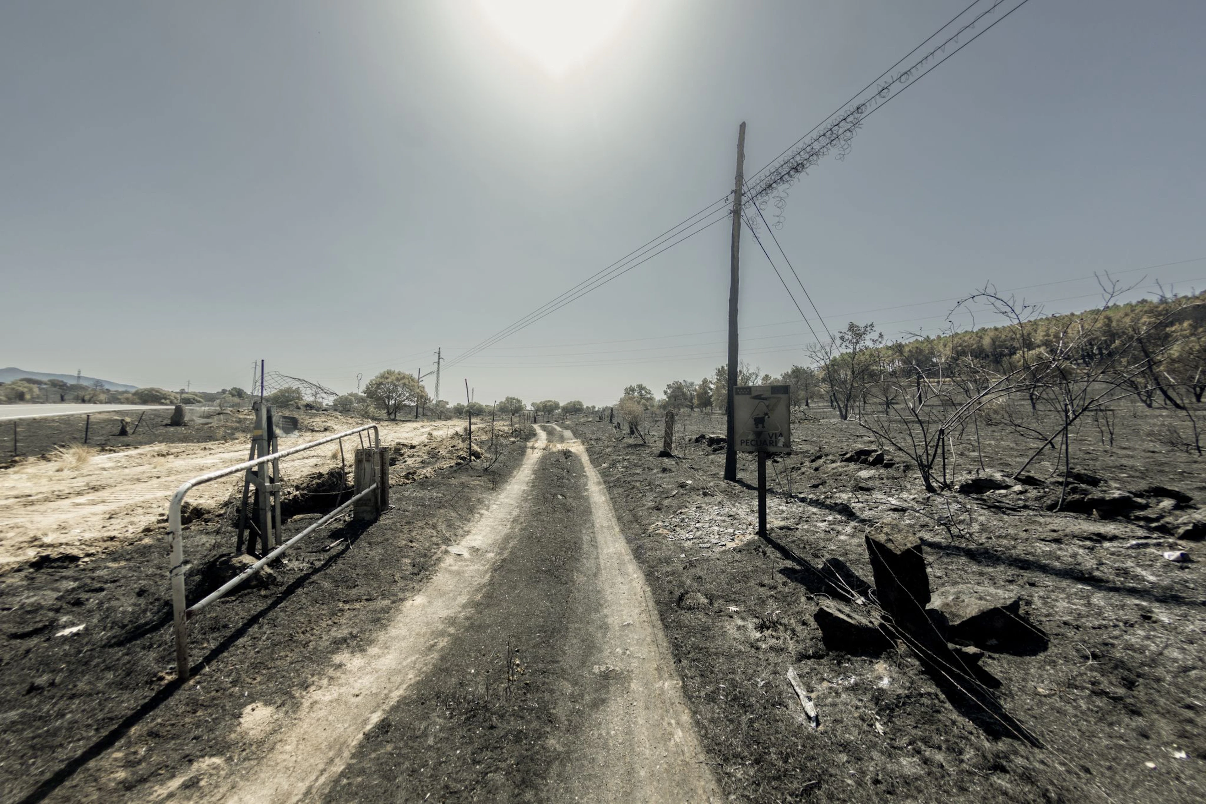 29,000 hectares destroyed