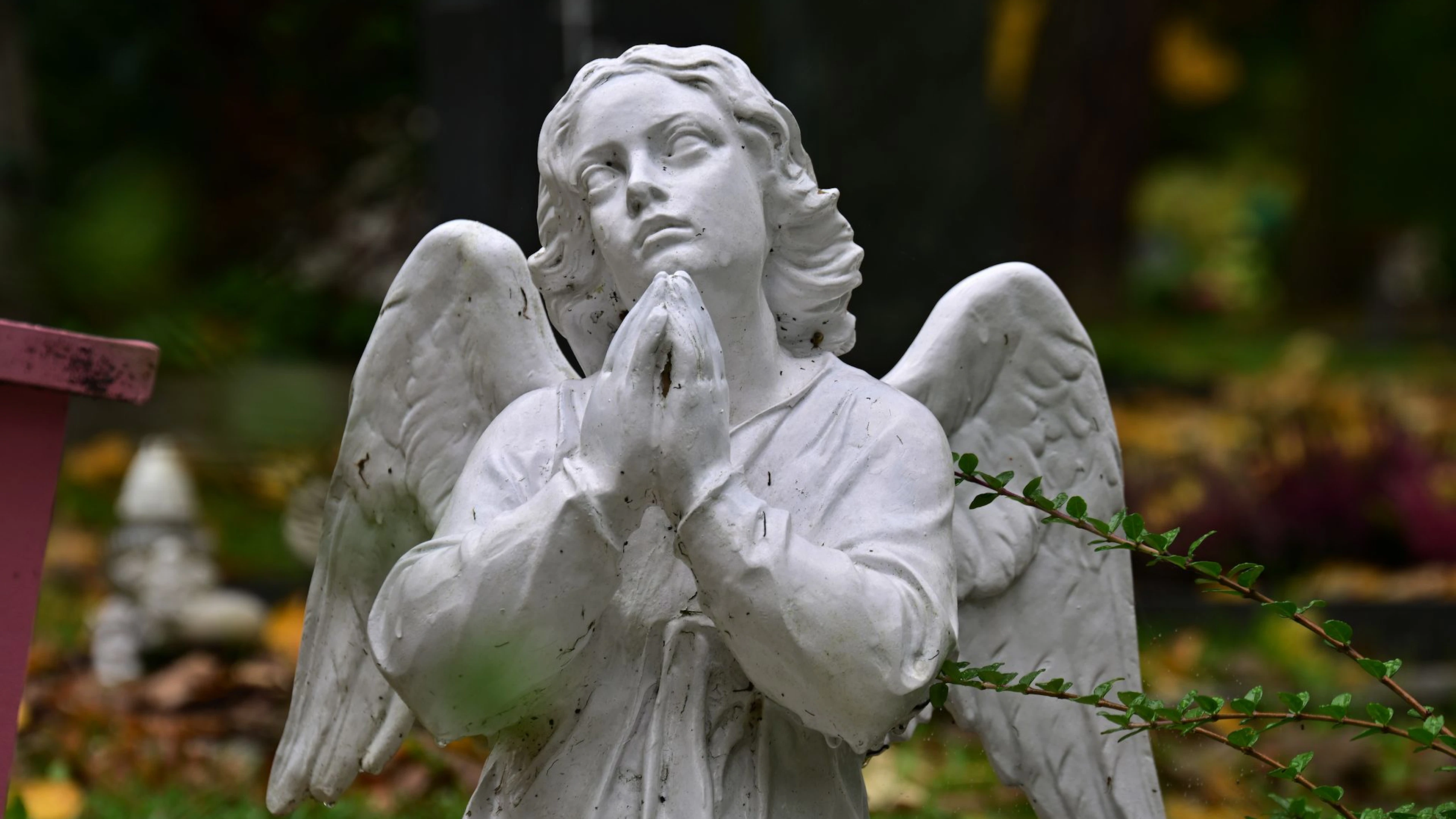 Frage nach dem richtigen Alter zum Sterben spaltet die Leserschaft
