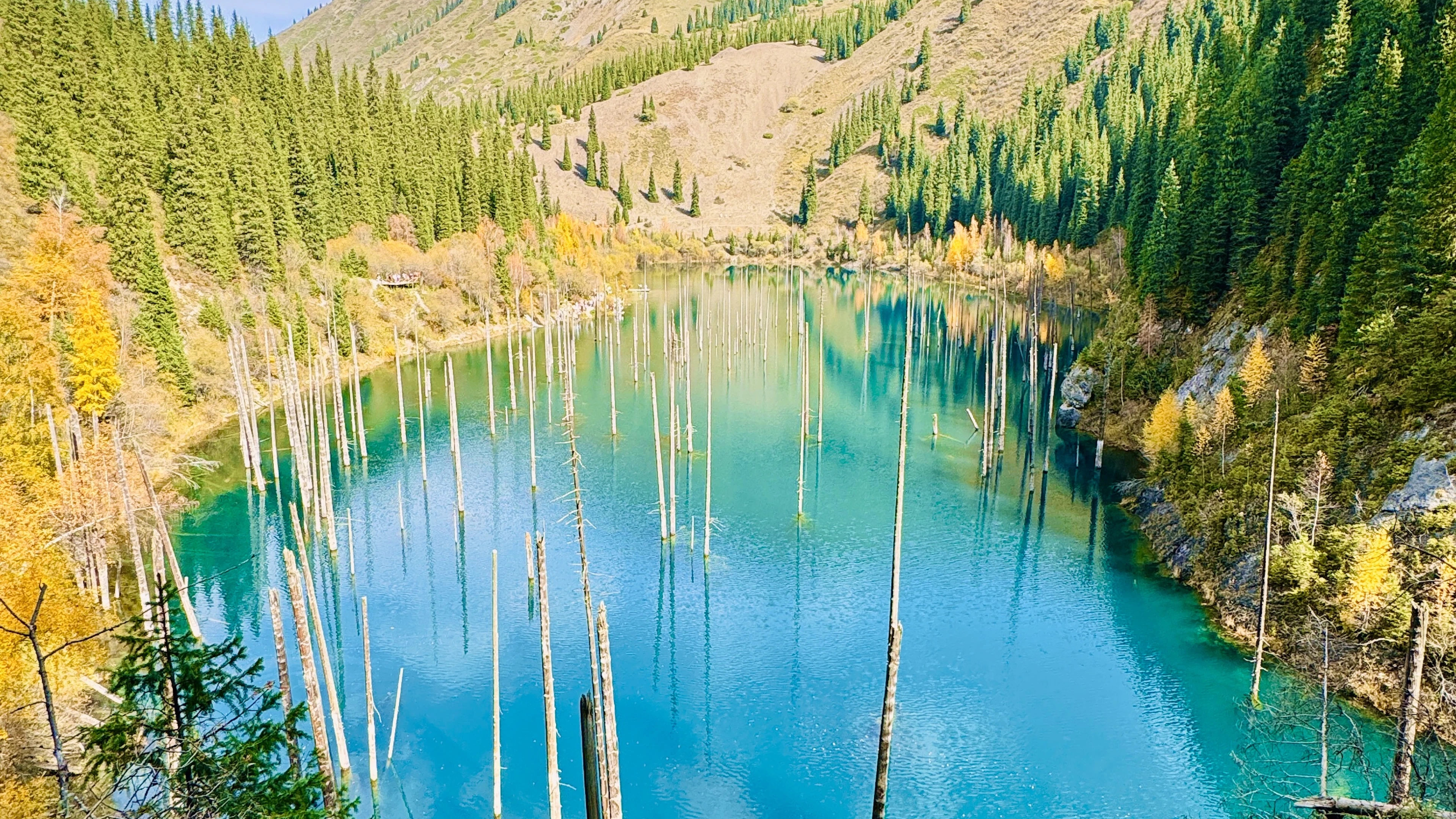USA-Frust? Dieses Land ist das überraschende Roadtrip-Paradies