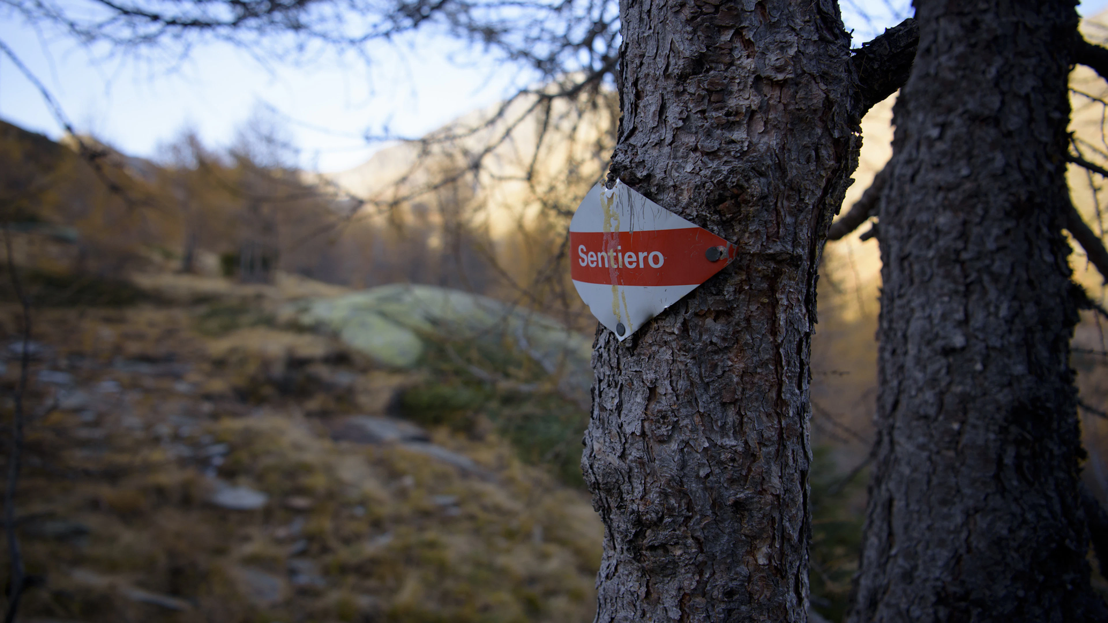 Un homme de 67 ans fait une chute mortelle en montagne
