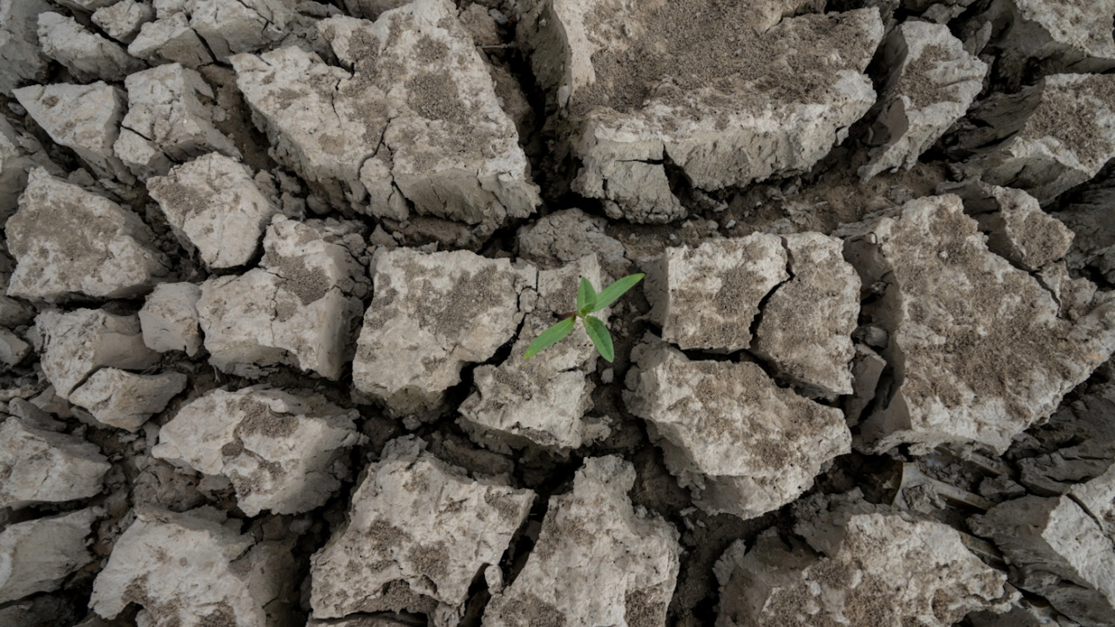 Le changement climatique, un facteur aggravant des sécheresses