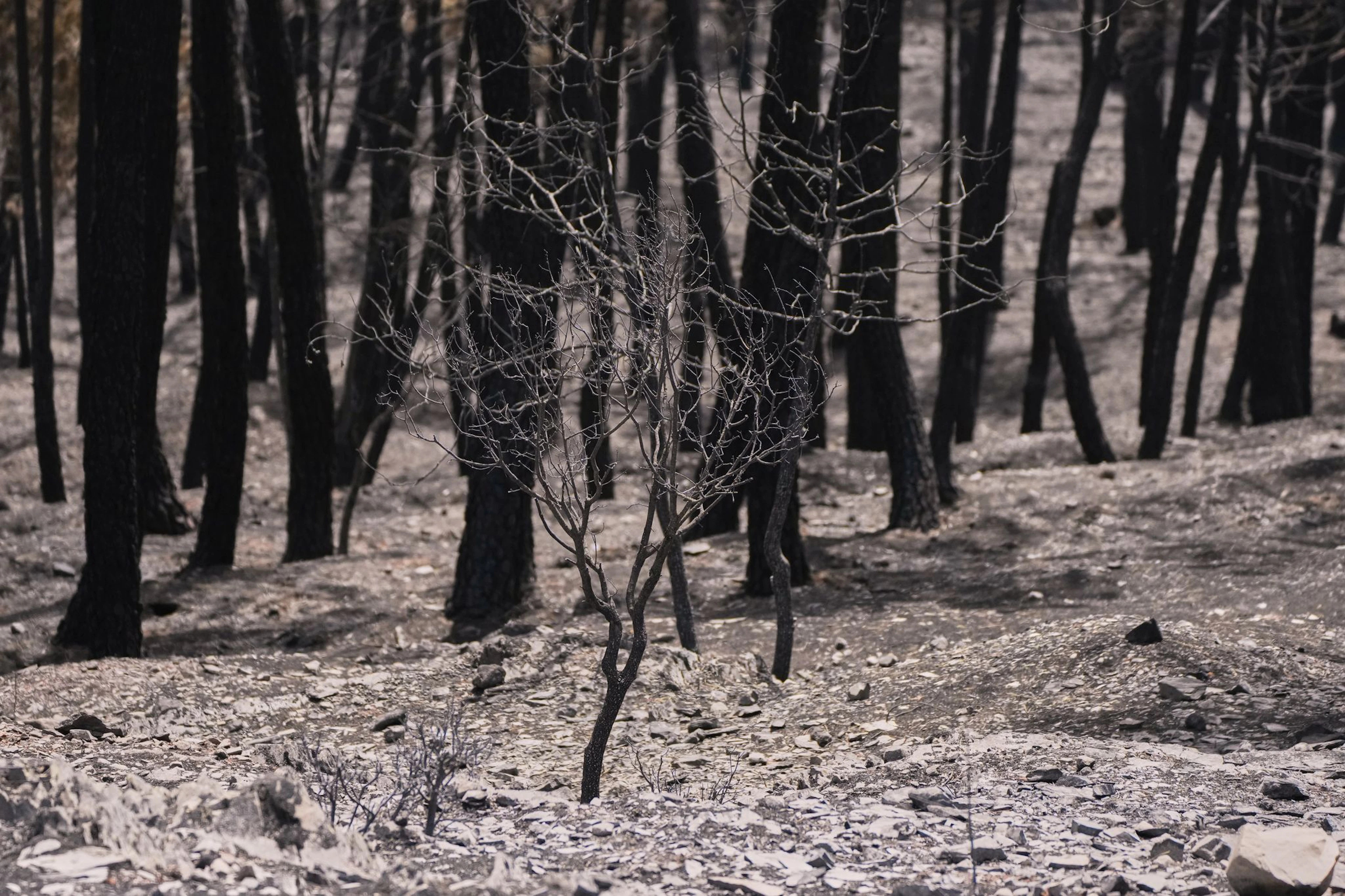 Fire Not Far From Madrid