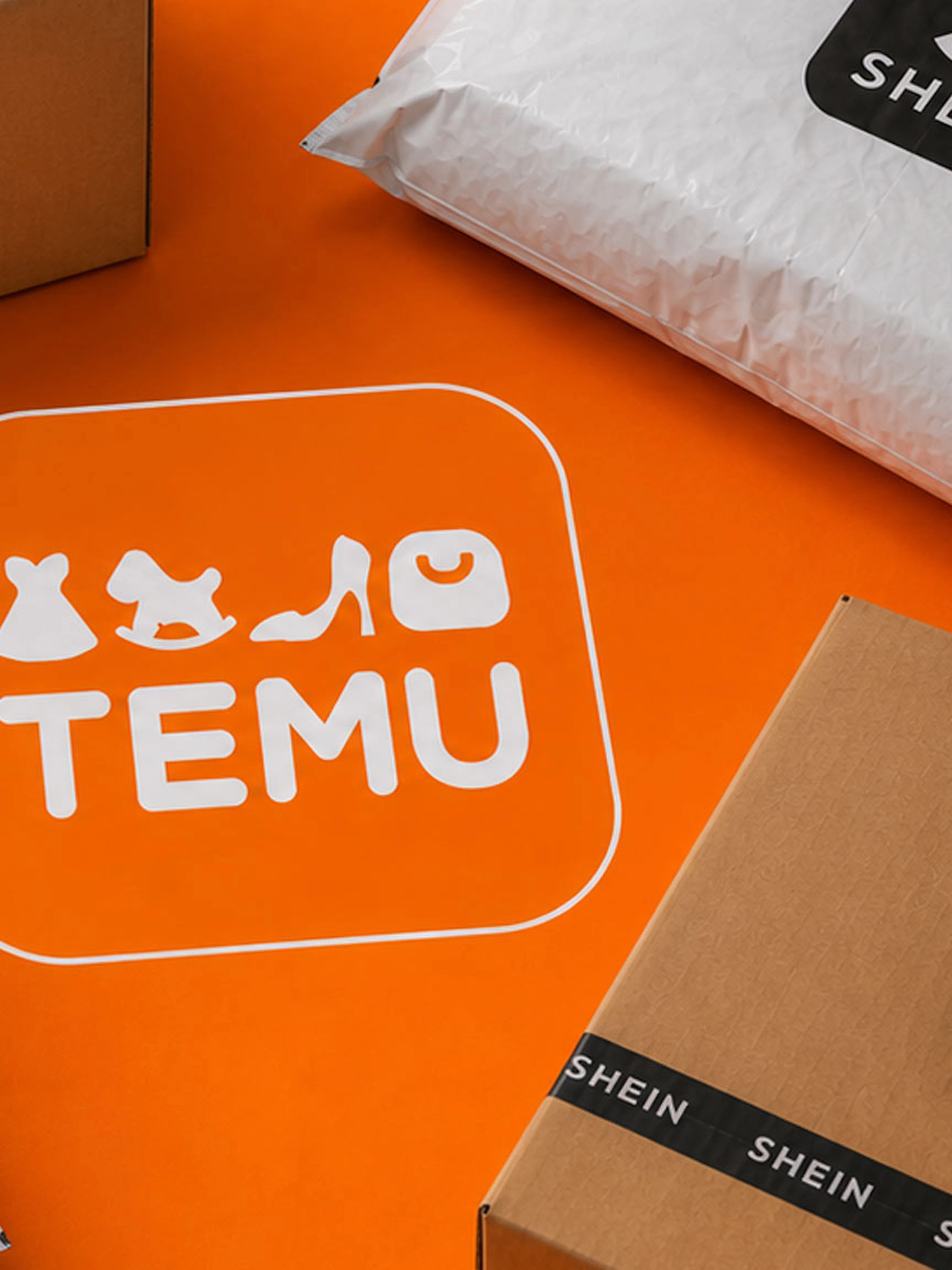 Diese 5 Produkte solltest du niemals bei Temu bestellen