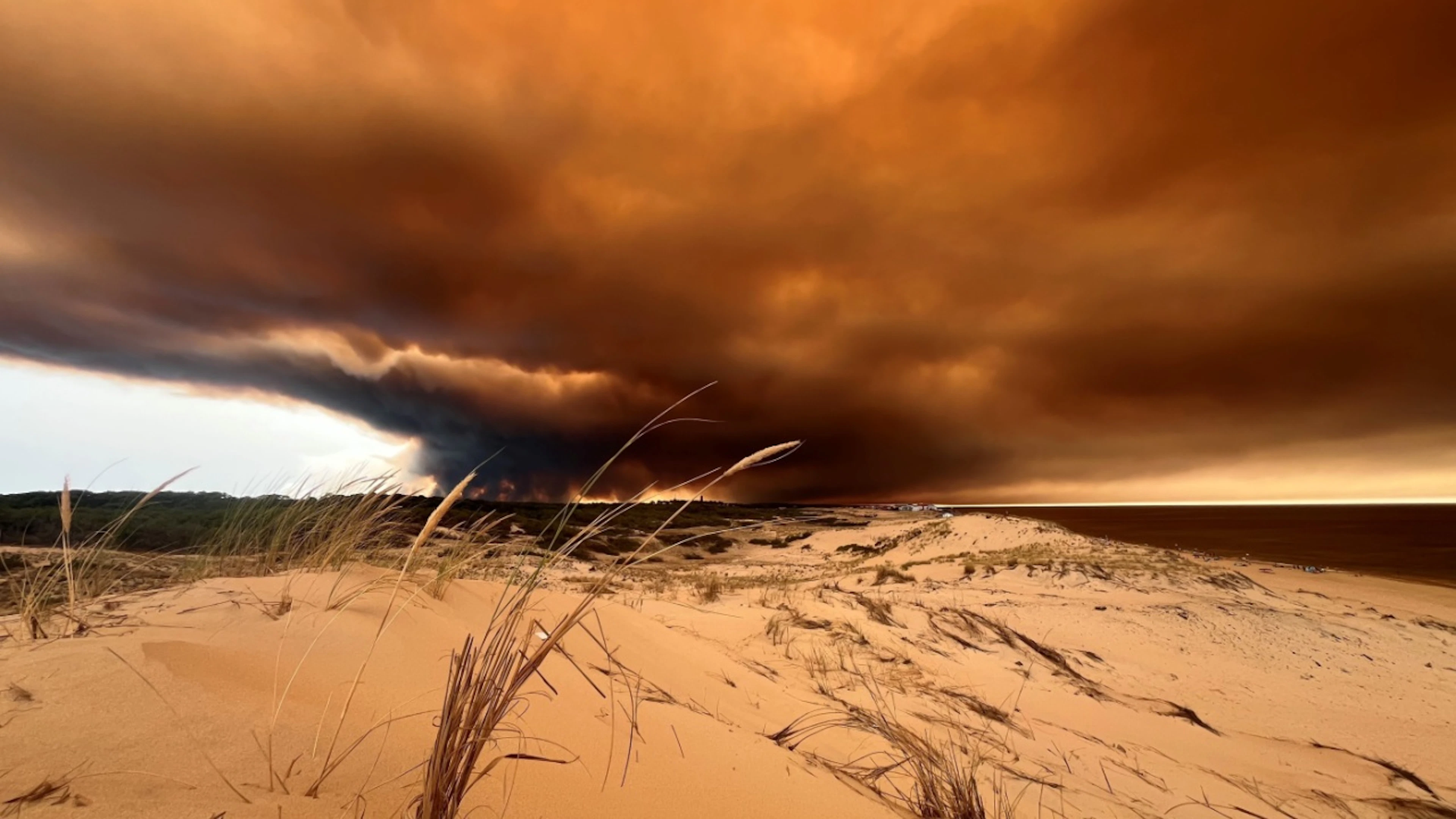 44'000 Menschen fliehen vor Waldbrand bei Bordeaux – Videos zeigen die Zerstörung