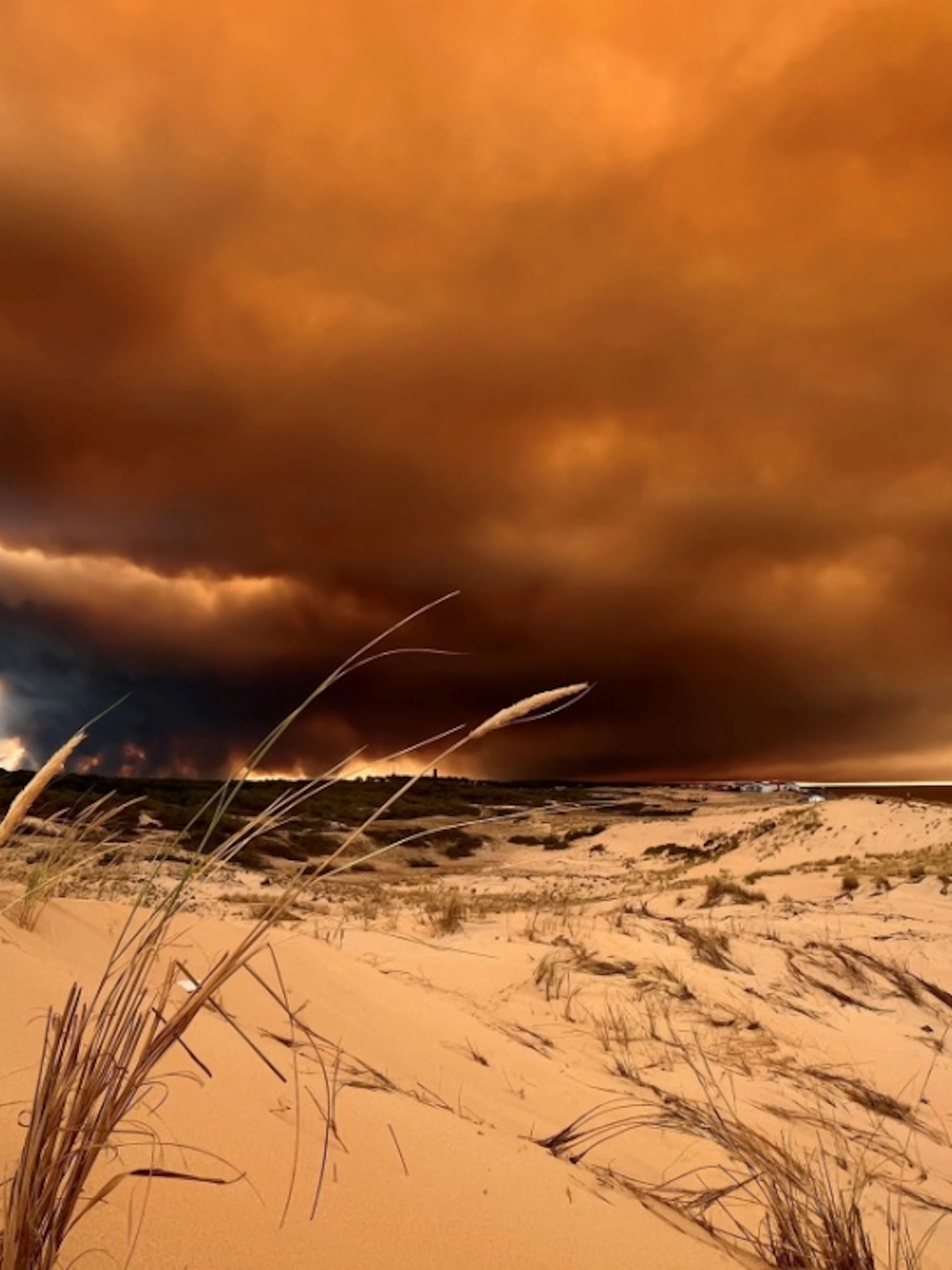 44'000 Menschen fliehen vor Waldbrand bei Bordeaux – Videos zeigen die Zerstörung