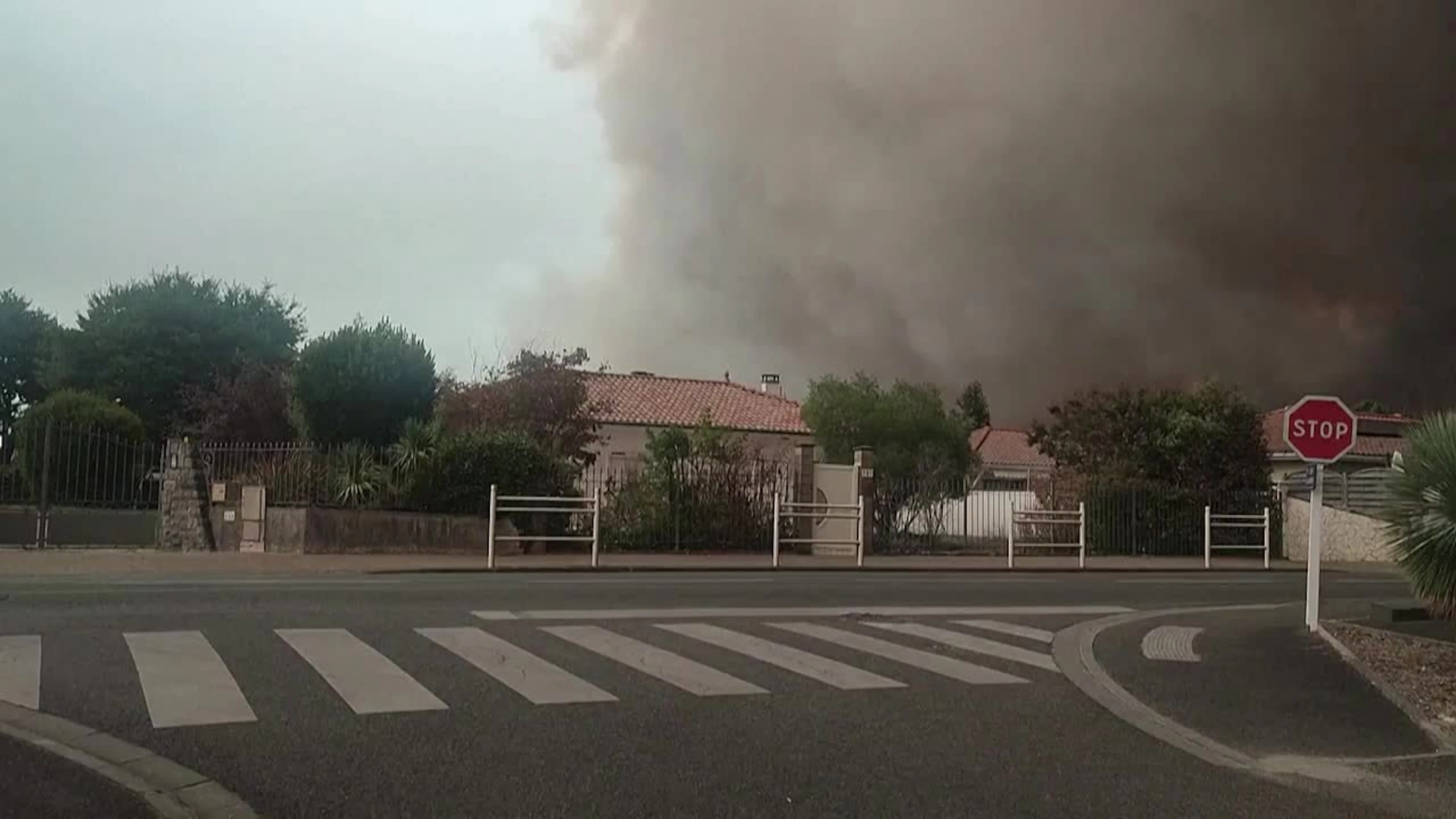 Incendies en France : des chevaux fuient les flammes