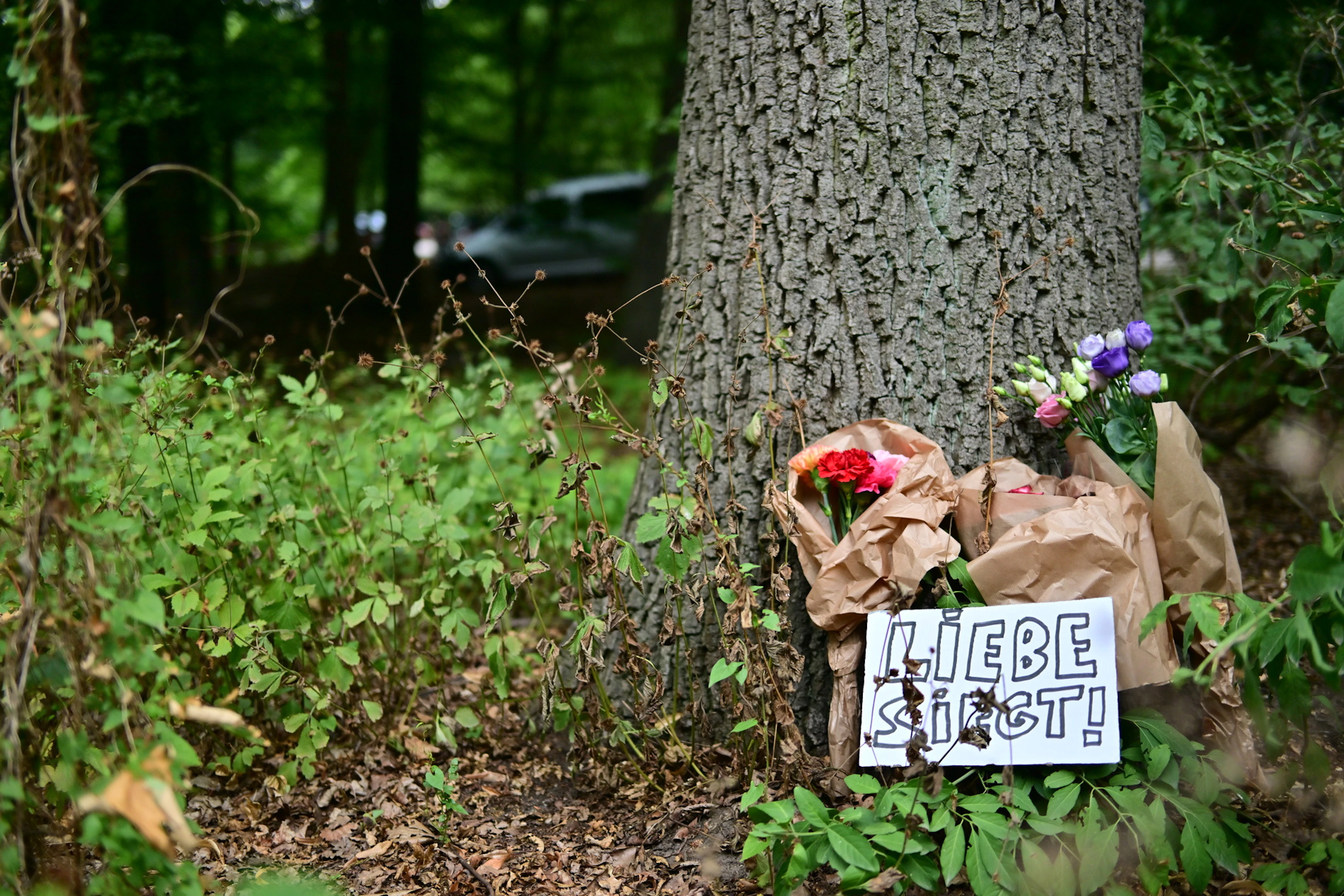 Un cartello con la scritta «L'amore vince!» davanti a dei fiori ai piedi di un albero, vicino a un'area transennata del Tiergarten.