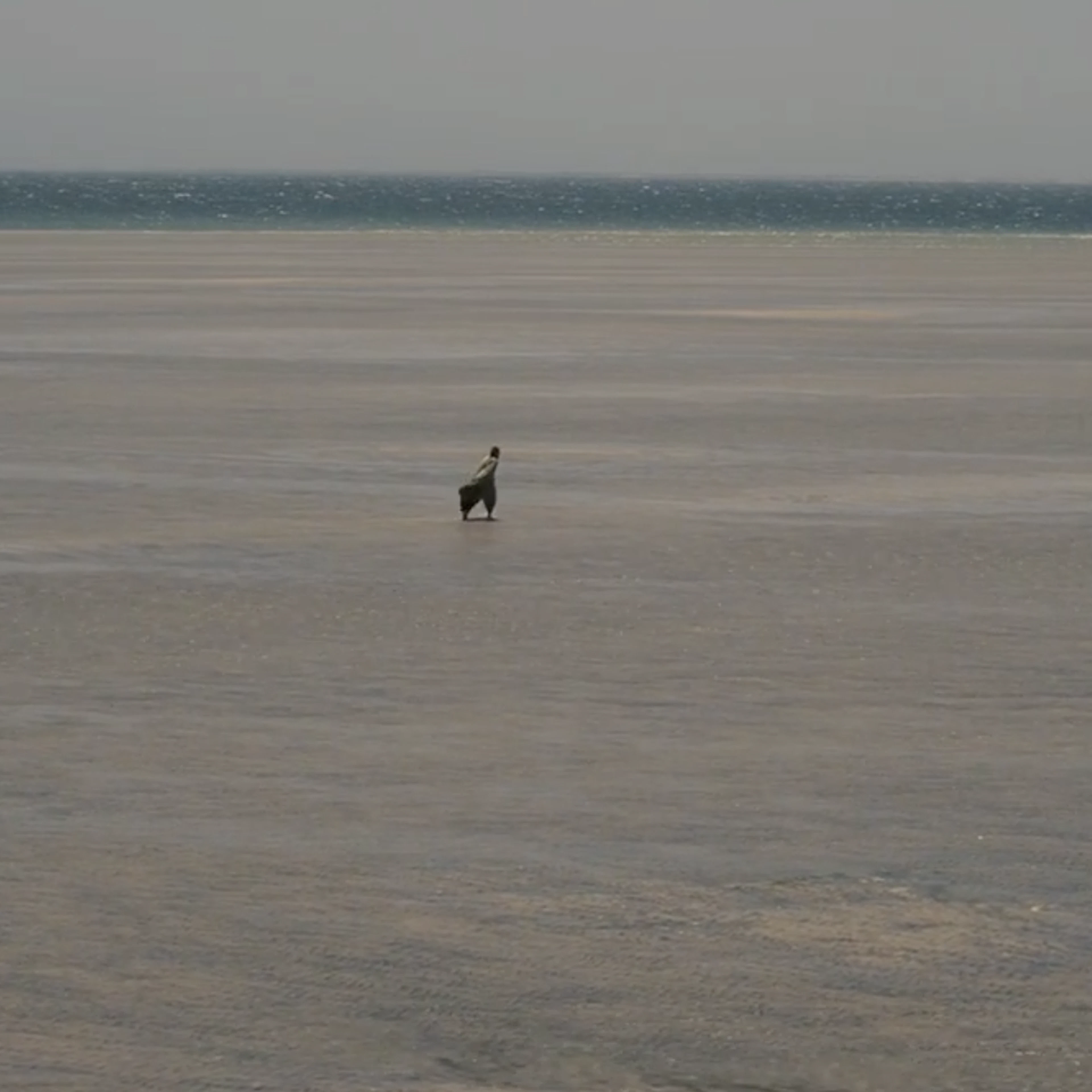 Boykottaufruf für «The Odyssey»