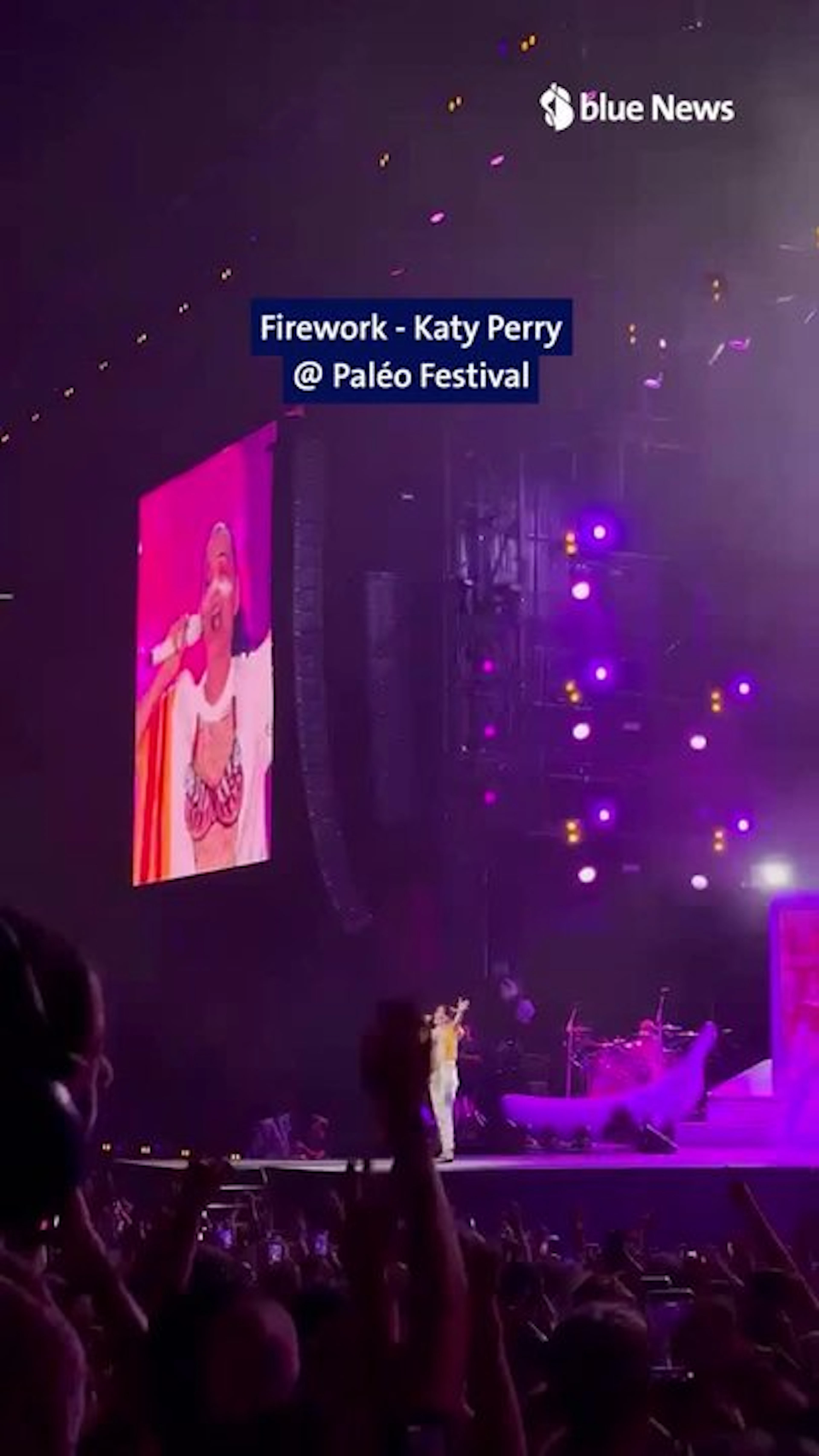 Katy Perry e il suo pubblico cantano "Firework" al Paléo