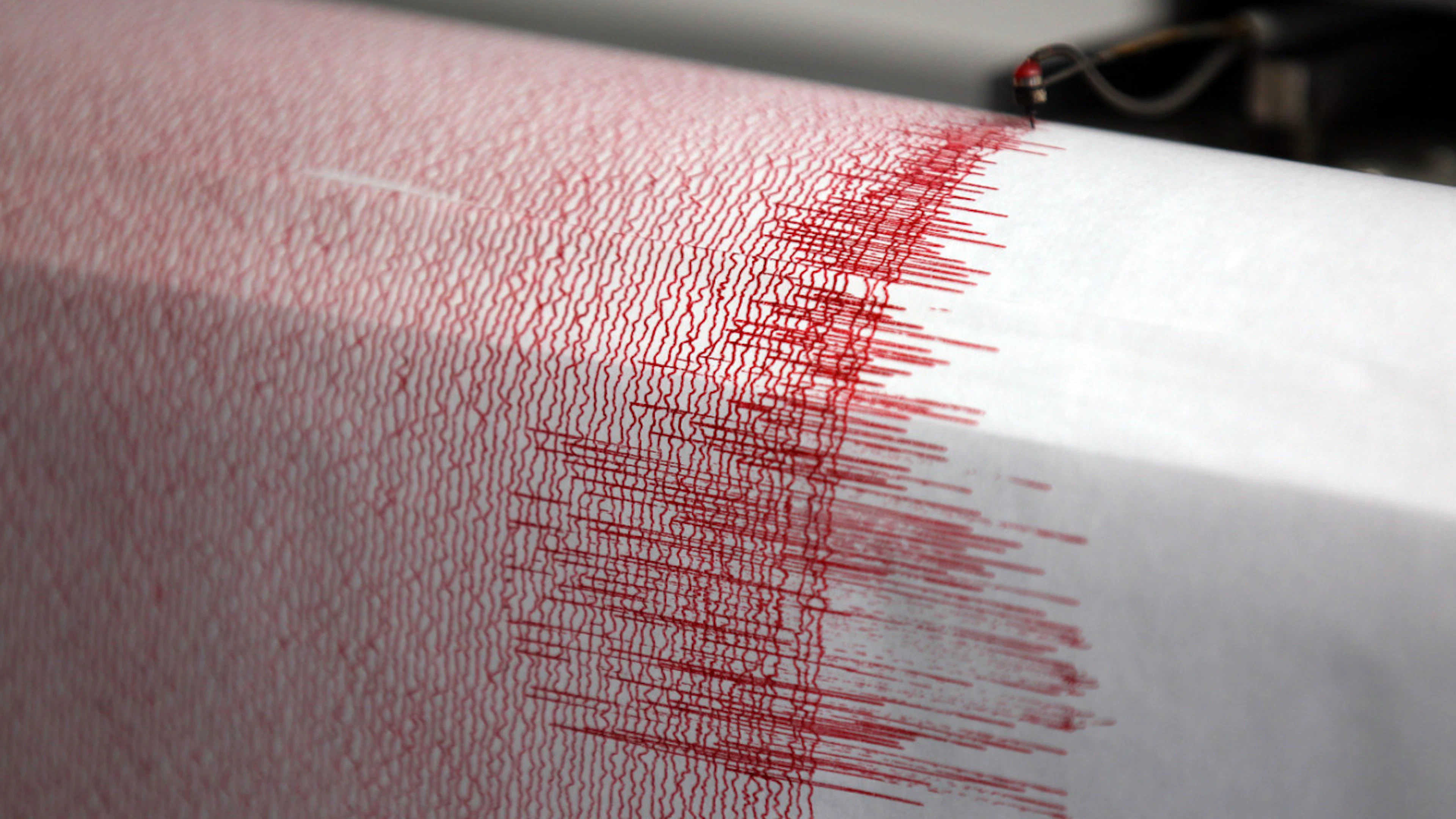 ARCHIVE – A seismograph at an earthquake monitoring station records readings. Photo: Oliver Berg/dpa (archive photo)