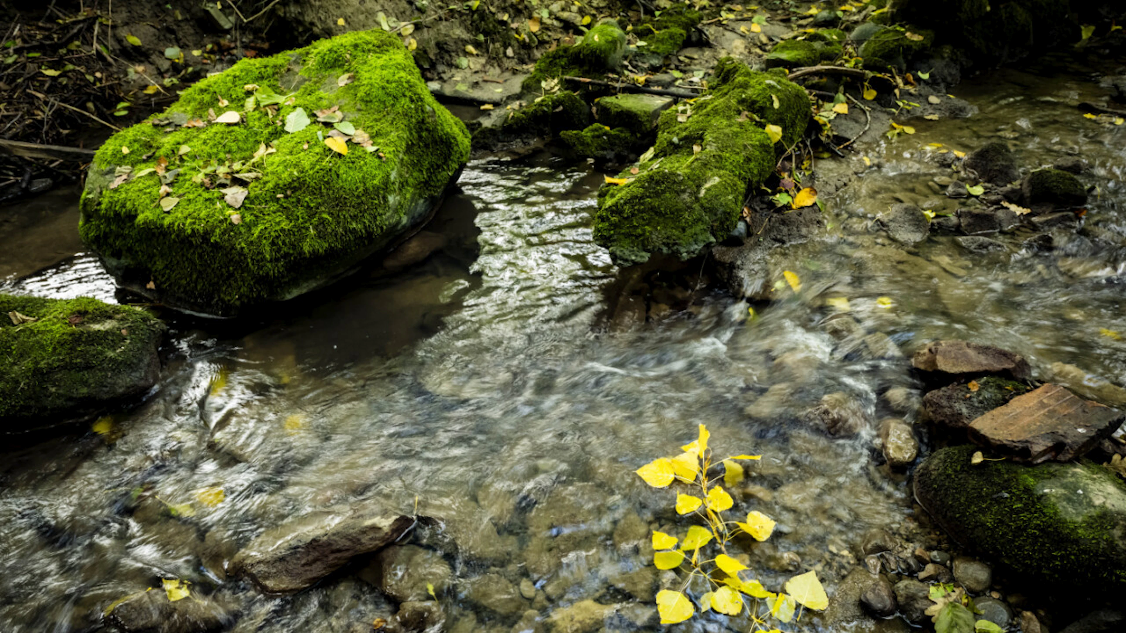 L'accès à la Tine de Conflens est fermé pour une durée indéterminée (photo d'illustration).