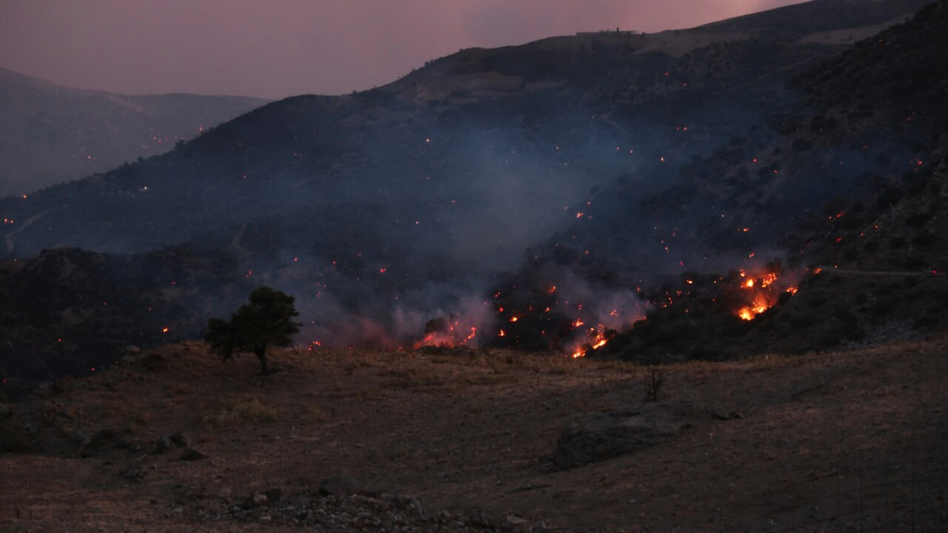 Greece and Turkey Continue to Battle Severe Wildfires