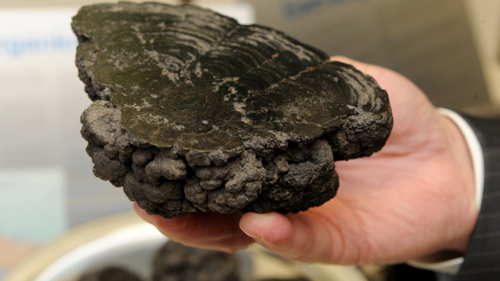 bluewin.ch - Deep-sea mining: Countries Fail to Agree on Rules