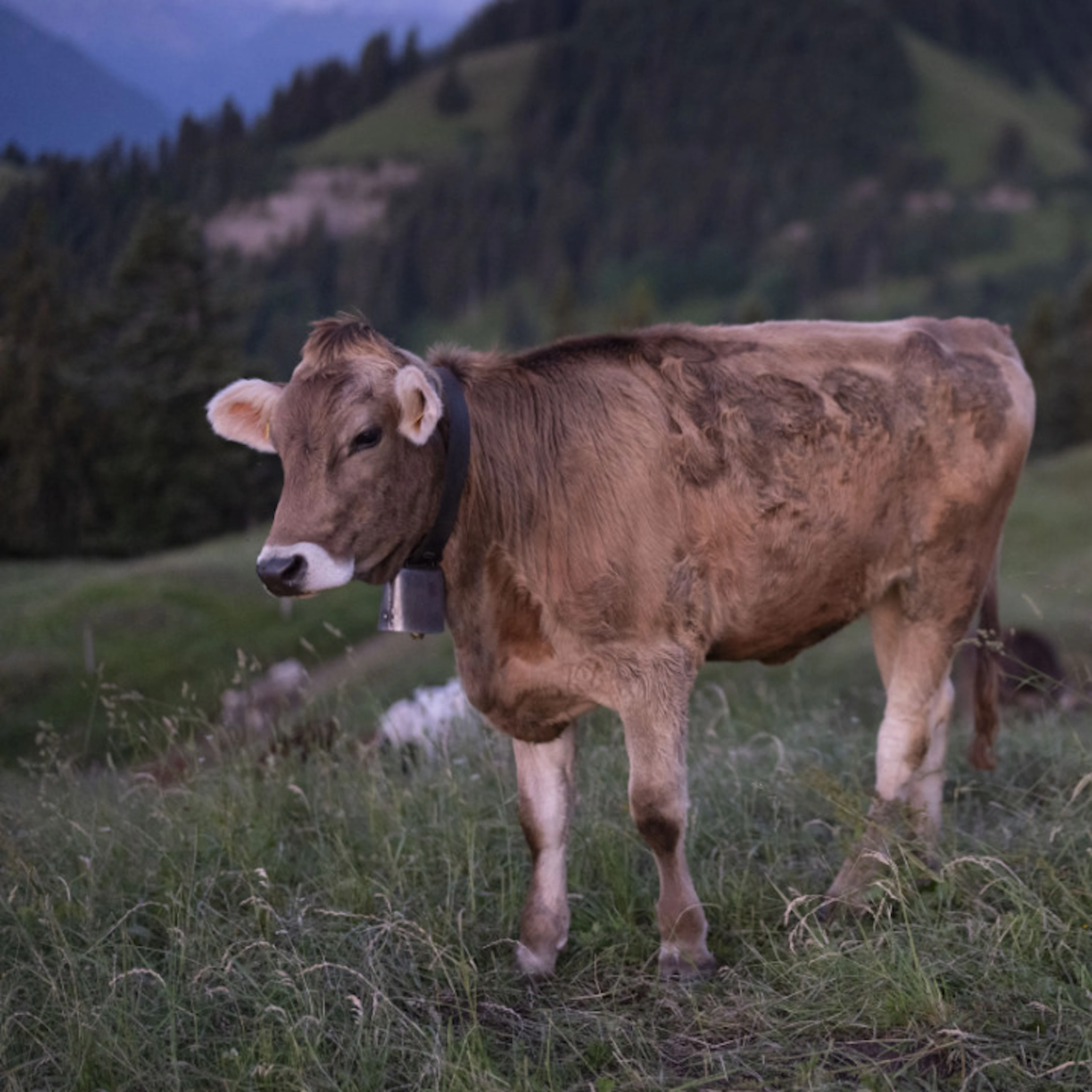 Agricoltura e solidarietà