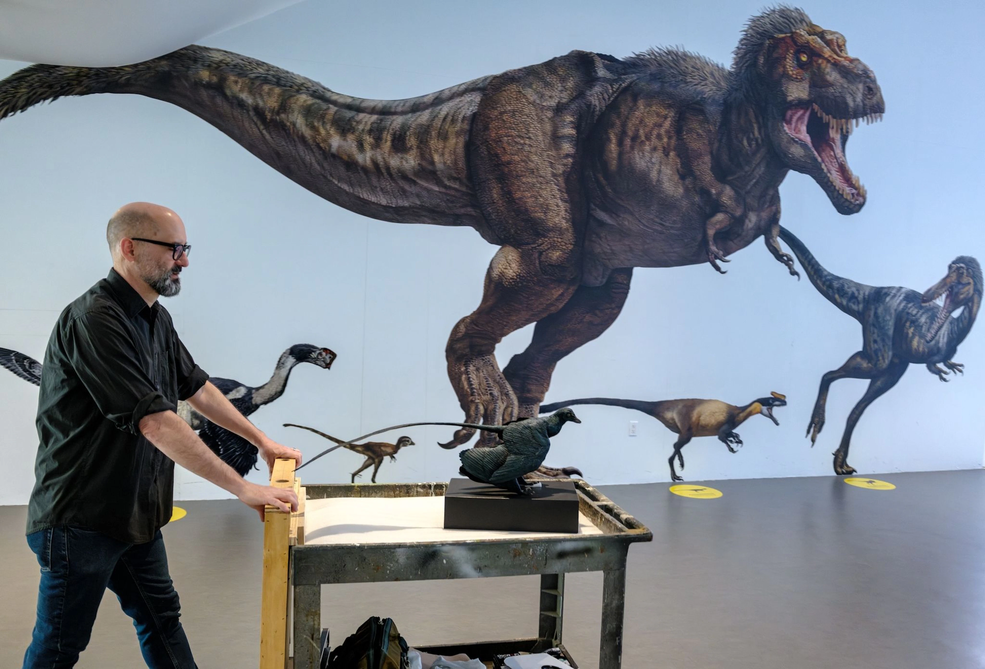 Das Modell eines Microraptors auf einem Wagen im Museum zeigt, wie gross selbst die kleinsten Dinosaurier waren. (Handout)