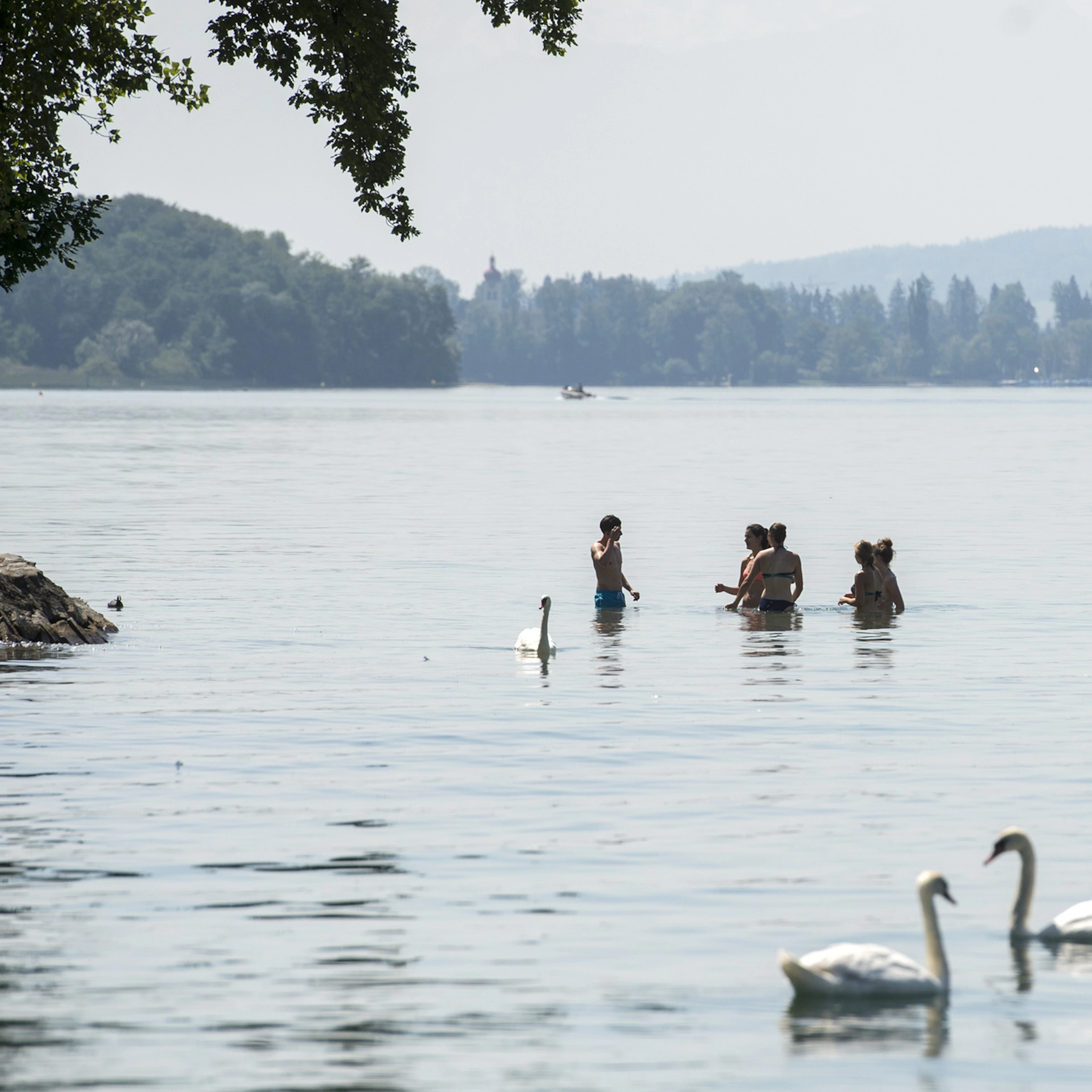 Aargau Police Are Looking for Witnesses