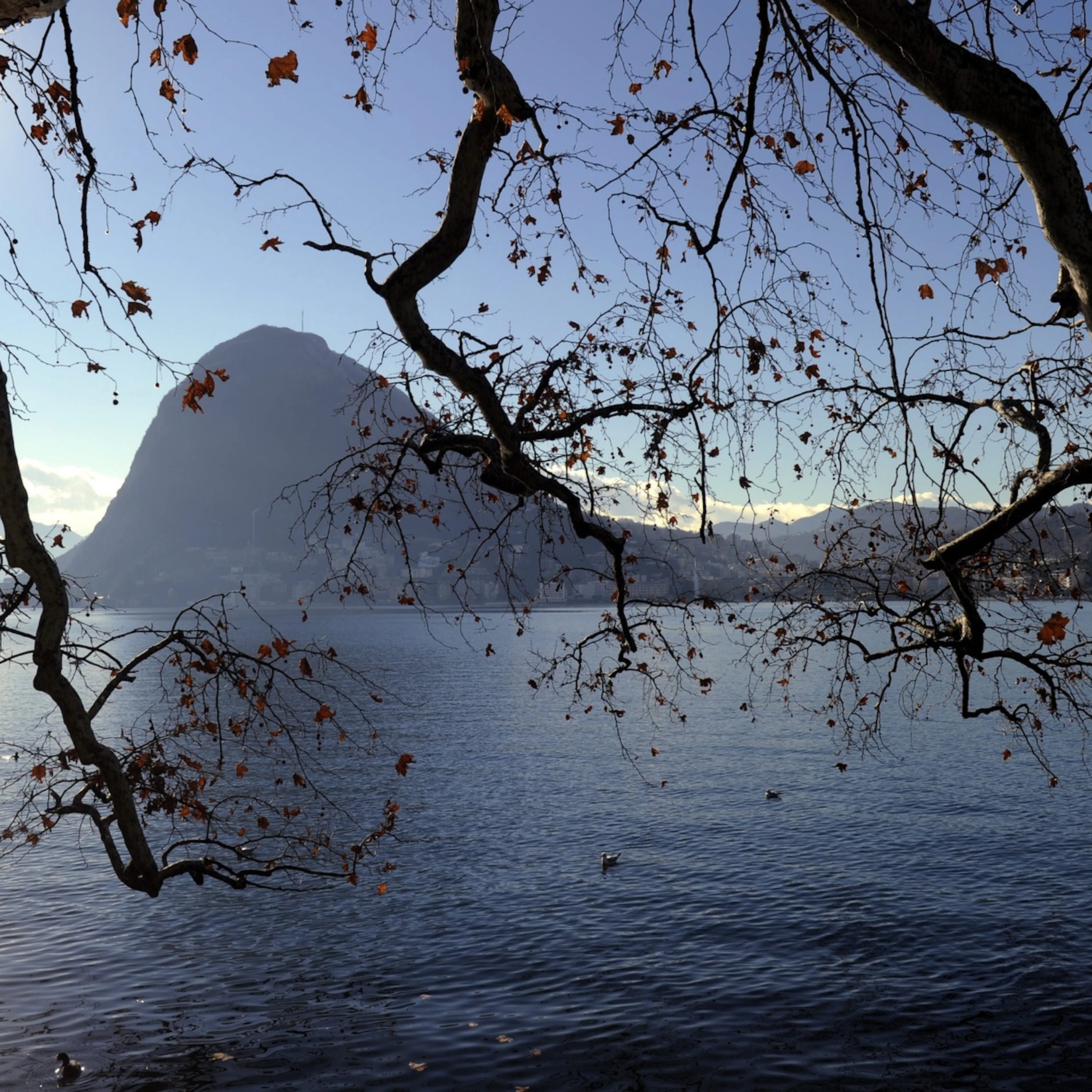A Lugano