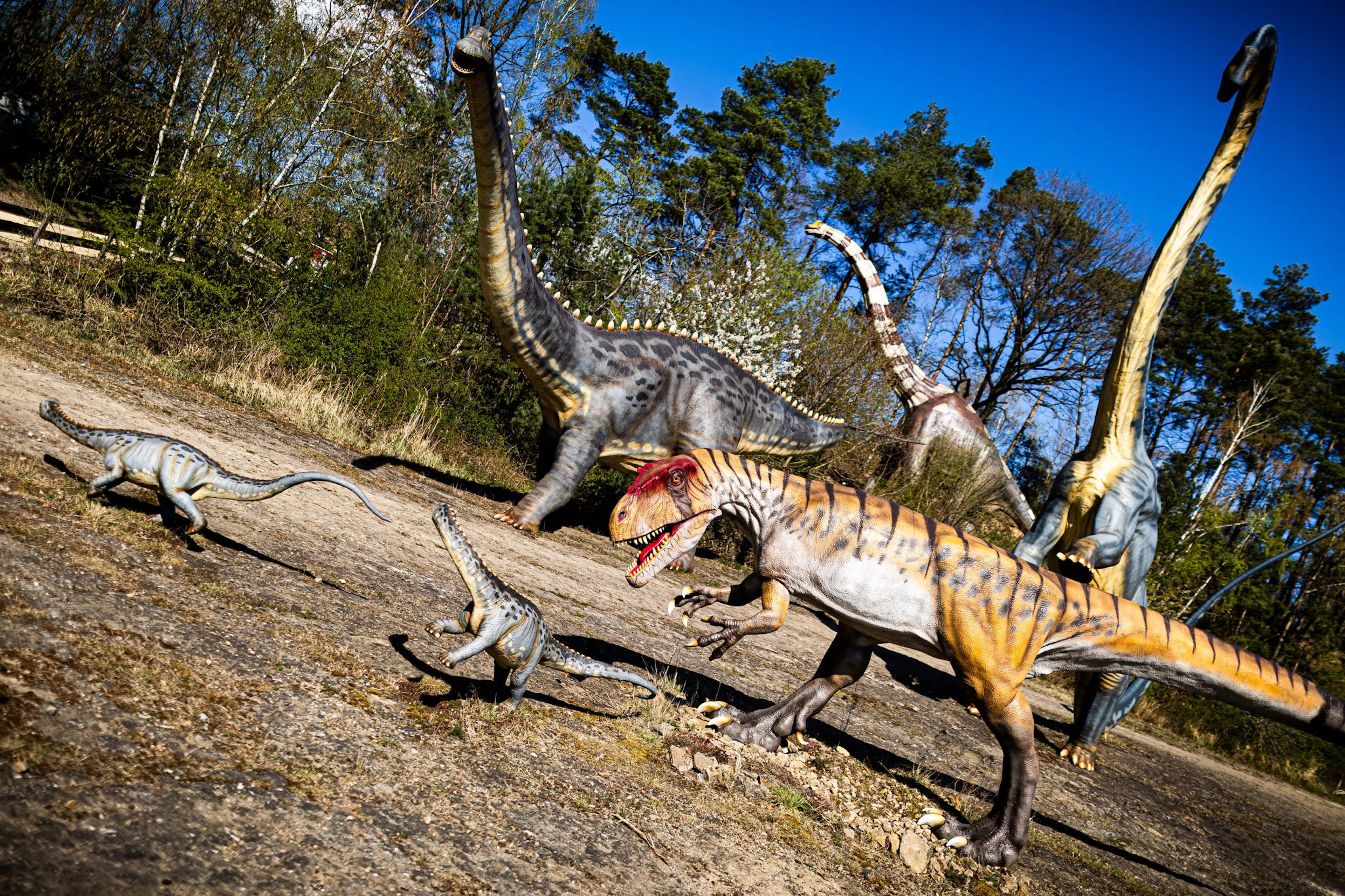 Dinosaurier konnten viele Tonnen schwer werden – aber offenbar nicht so klein, dass sie nur ein paar Gramm wogen. (Archivbild)