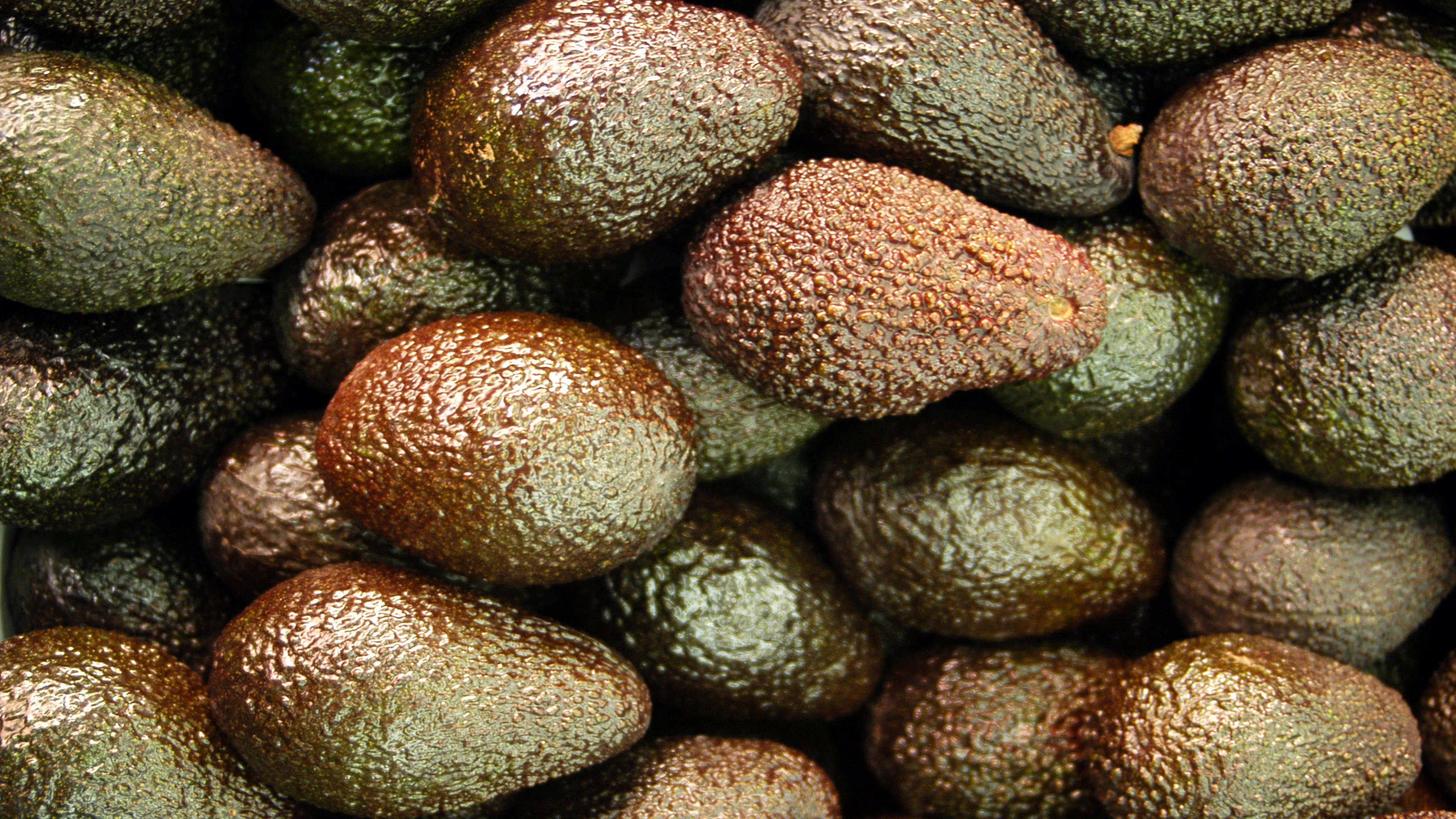 Les USA suspendent des importations d'avocats mexicains