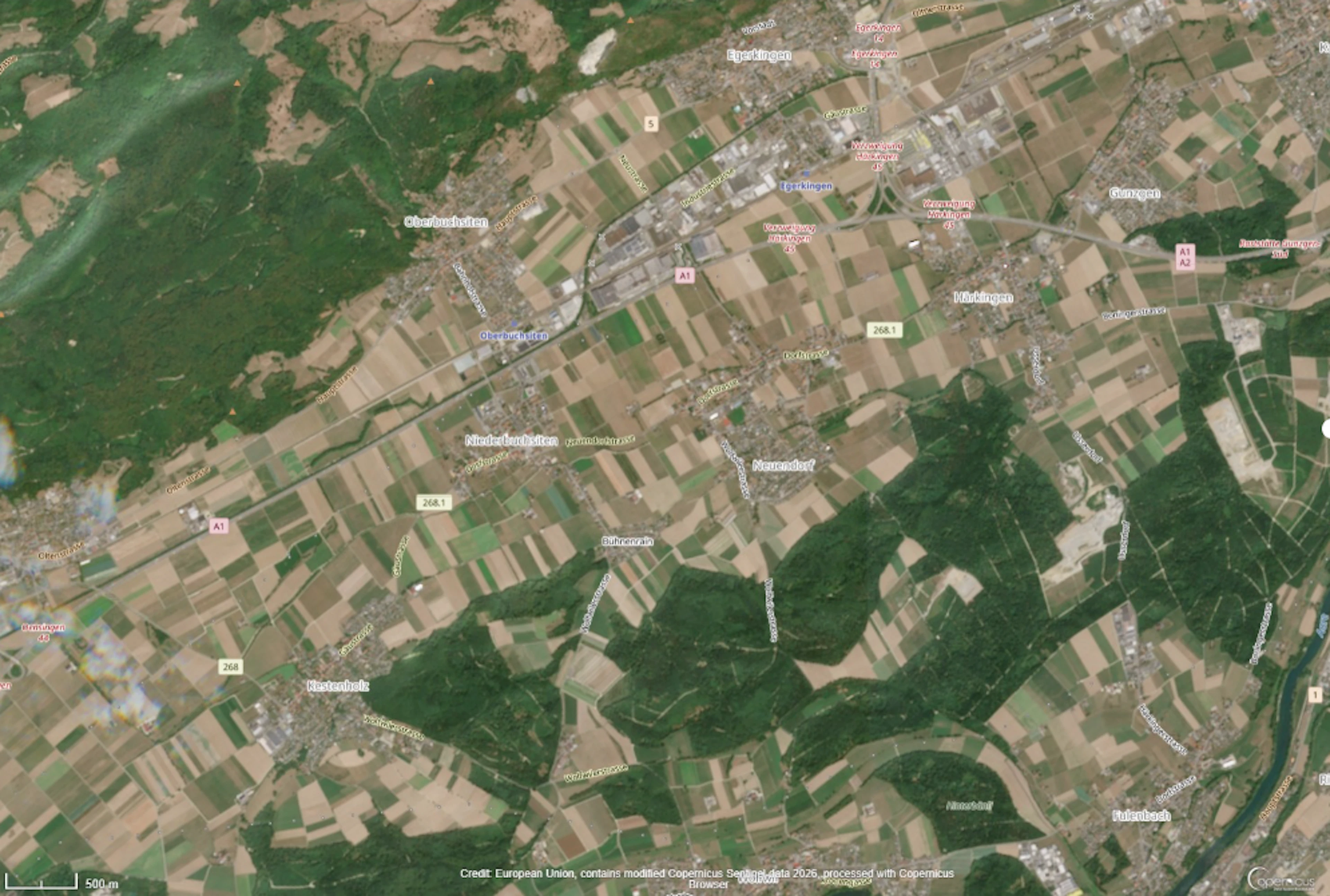 Mehr braun als grün: Satellitenaufnahmen zeigen, wie ausgetrocknet Landwirtschaftsflächen im Schweizer Mittelland sind.
