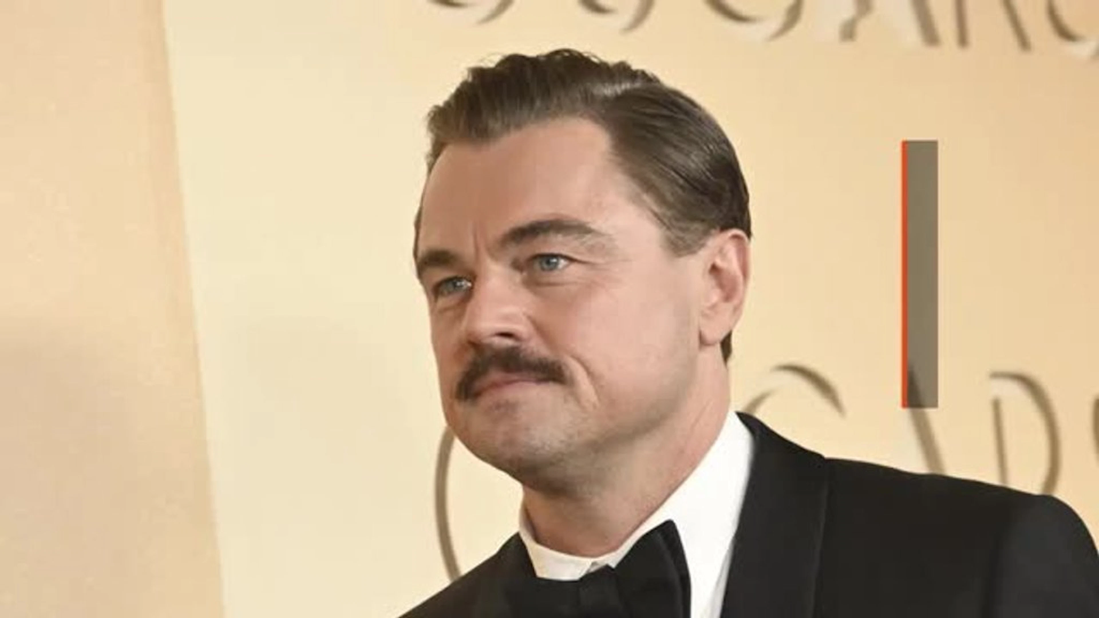 Espèces en danger d'extinction: Leonardo DiCaprio et Jeff Bezos injectent 200 millions de dollars