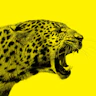Locarno Film Festival icon