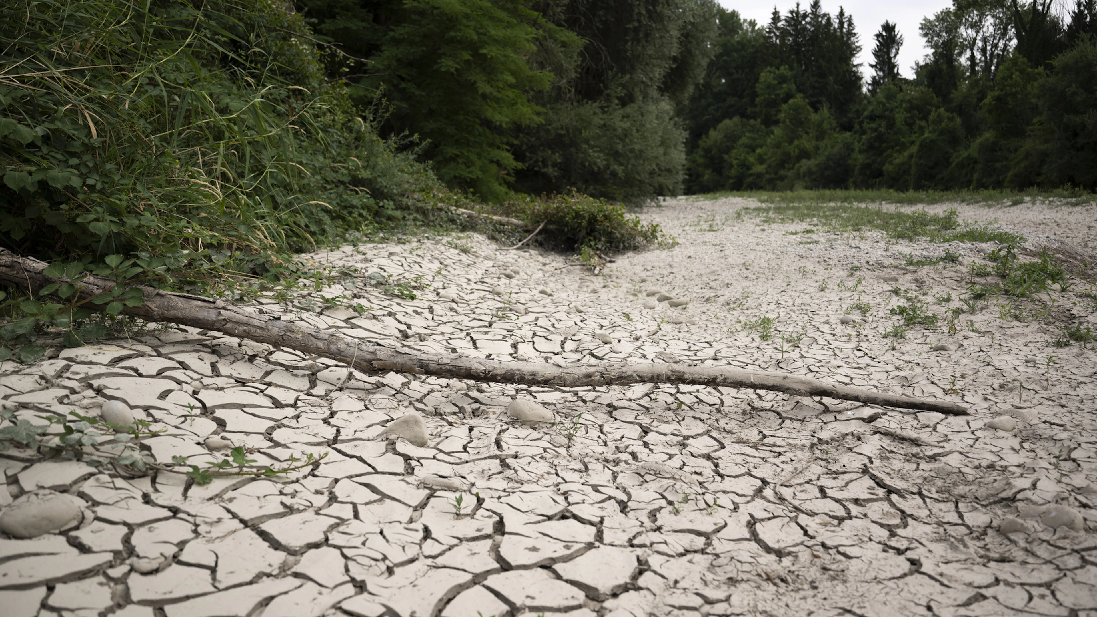 View of the dried-up riverbed of the Emme near Aefligen, Bern. The prolonged lack of rainfall and the intense July heat have led to a water shortage in the Bernese Mittelland. (July 13, 2026)