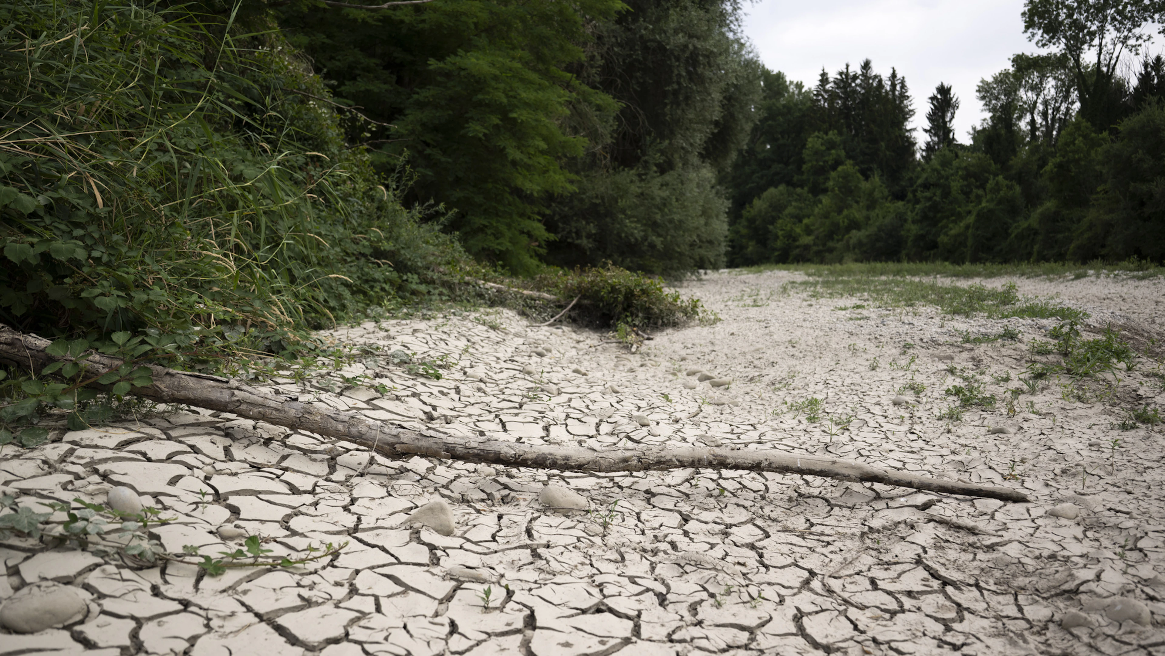 Rösti: Die Schweiz wird Klimaziel für 2030 wohl nicht erreichen