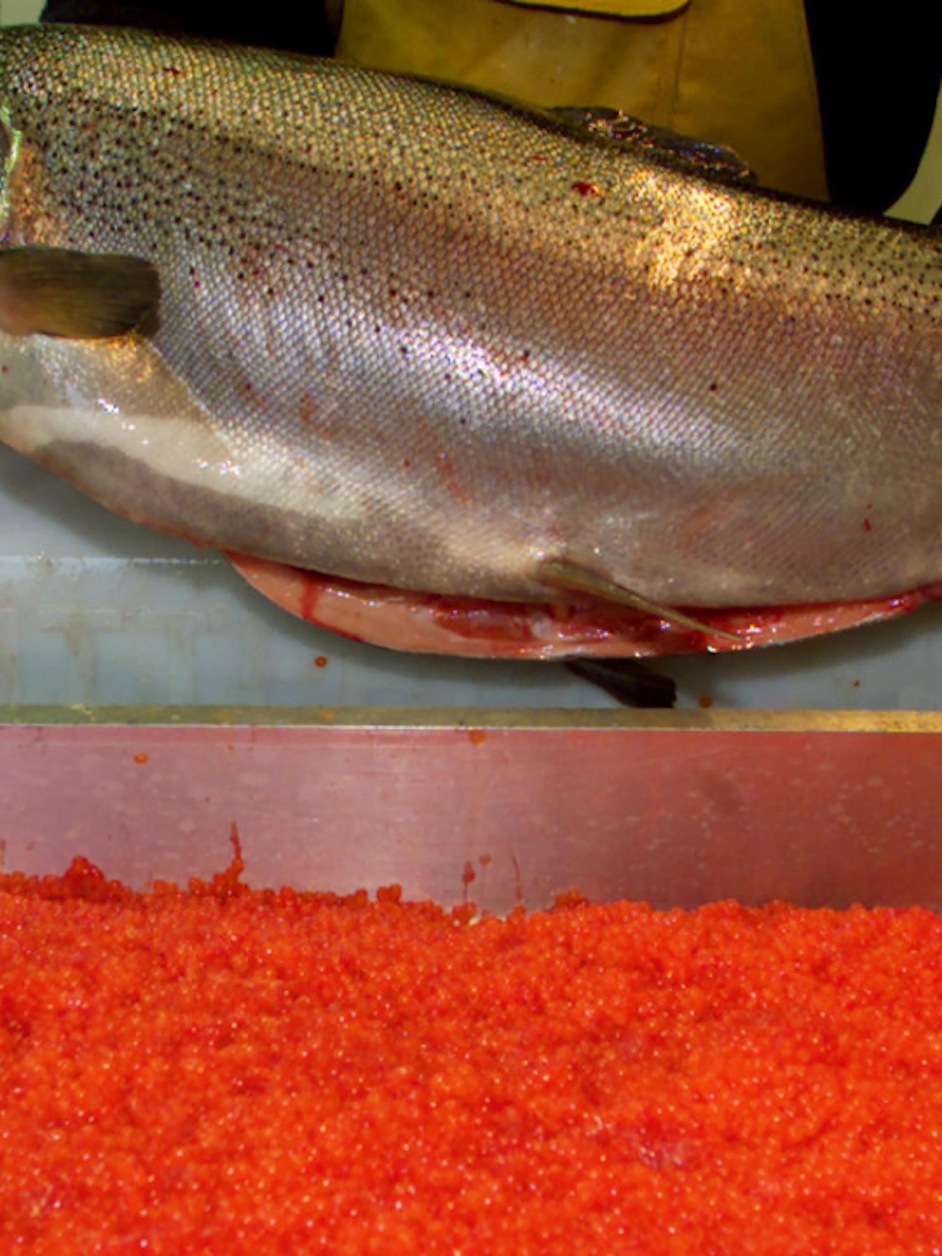 Alerte sanitaire: des listérias détectées dans des produits de truite saumonée