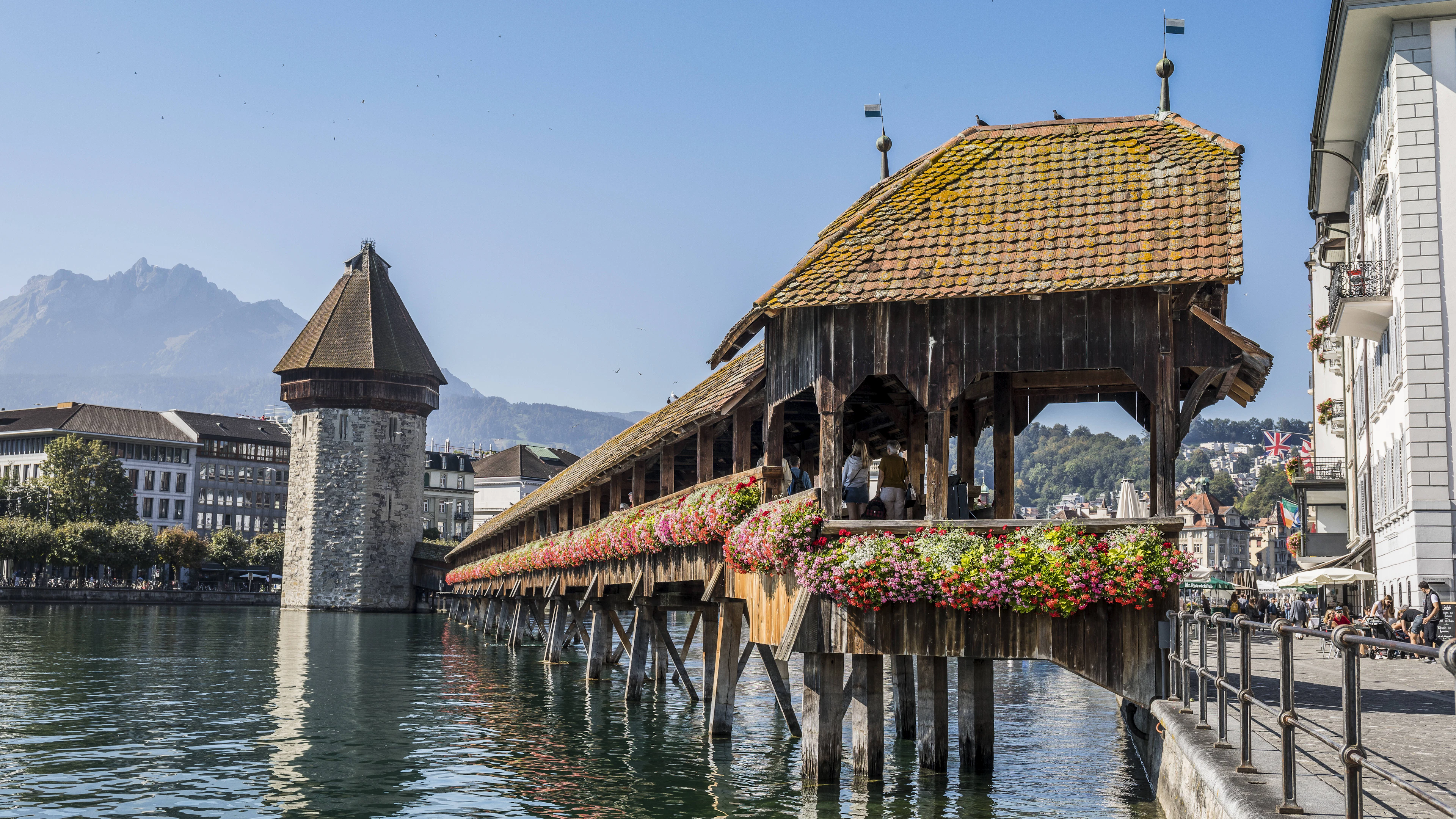Diversi allarmi incendio dal Kappelbrücke di Lucerna, ma la colpa è... dei ragni!