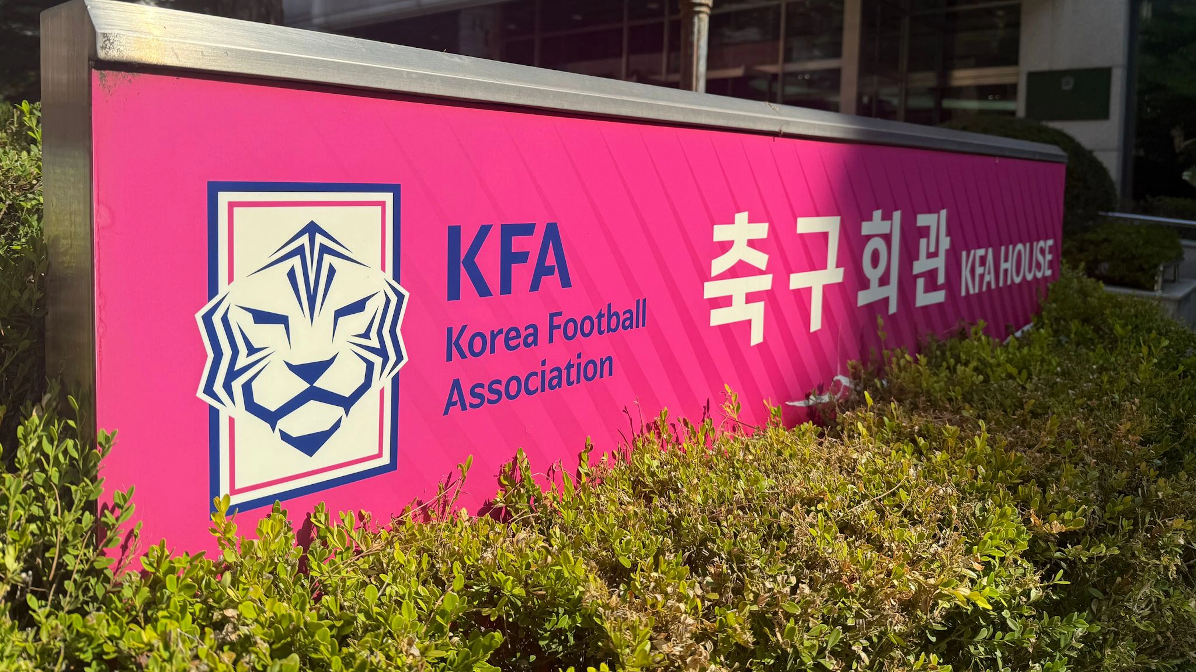 Association Allegedly Paid for Sexual Massages for Referees