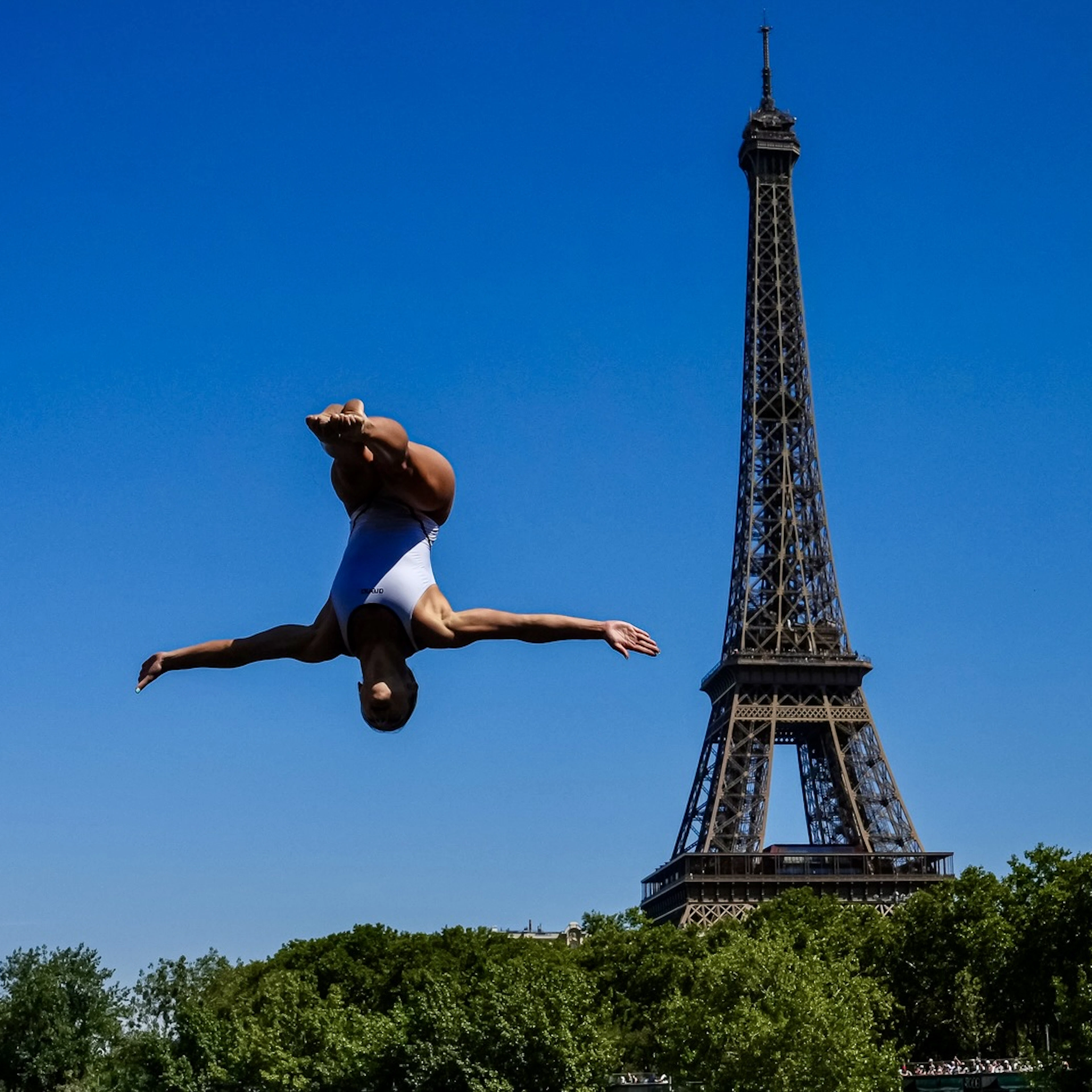 Européens de plongeon