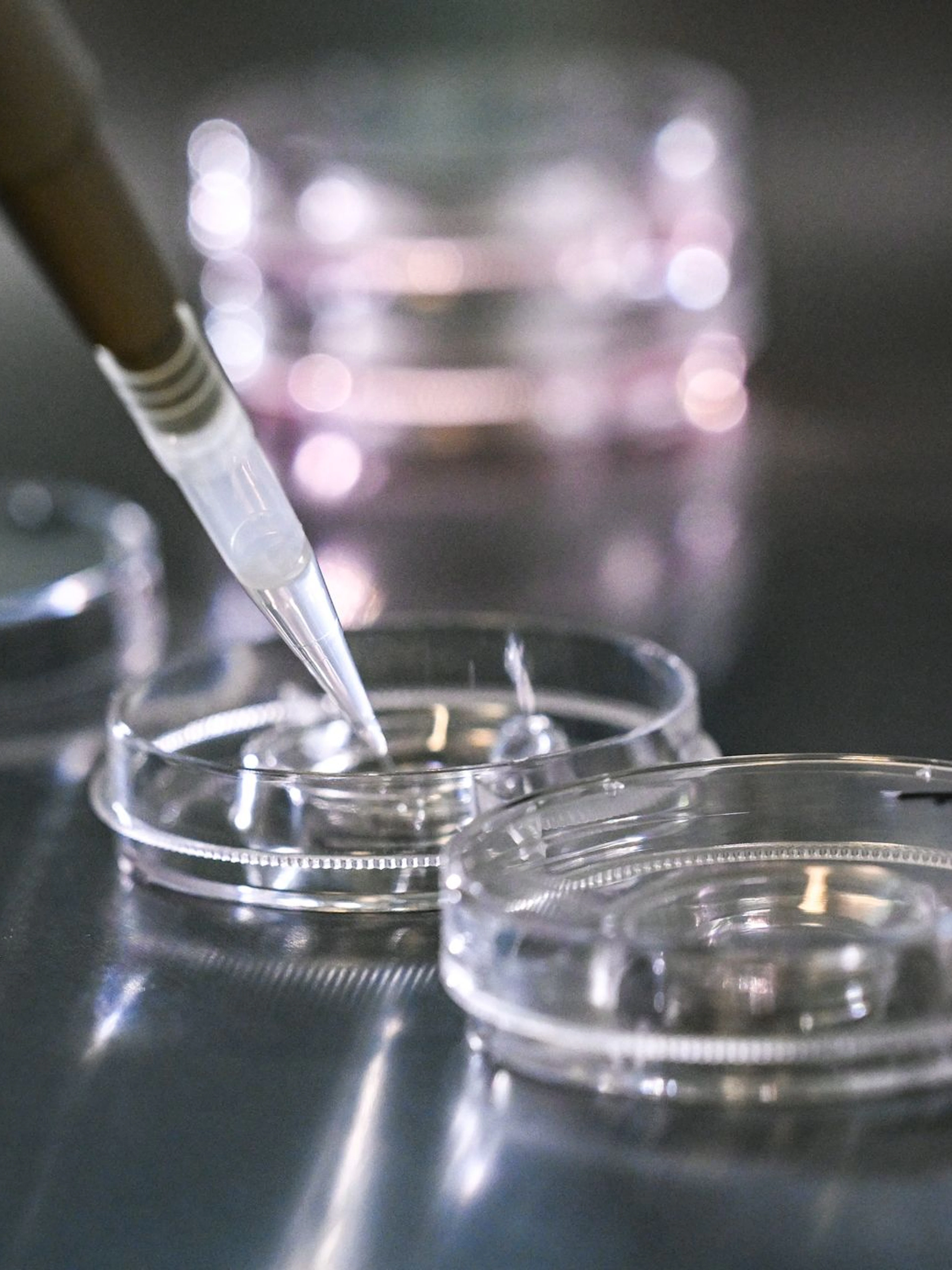 Frau bekommt in Italien falschen Embryo eingesetzt
