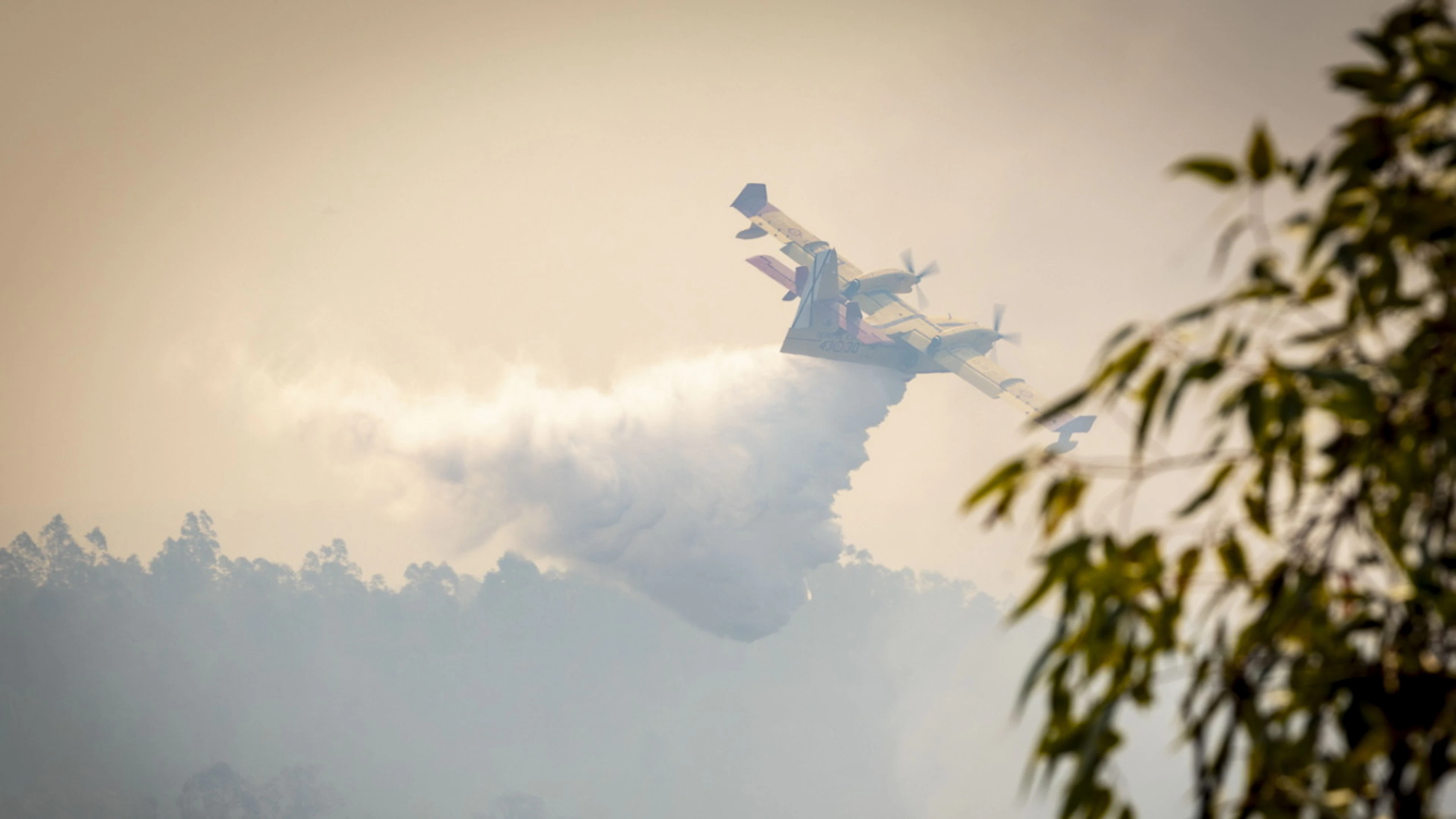 Incendie de forêt en Andalousie : 4000 hectares touchés