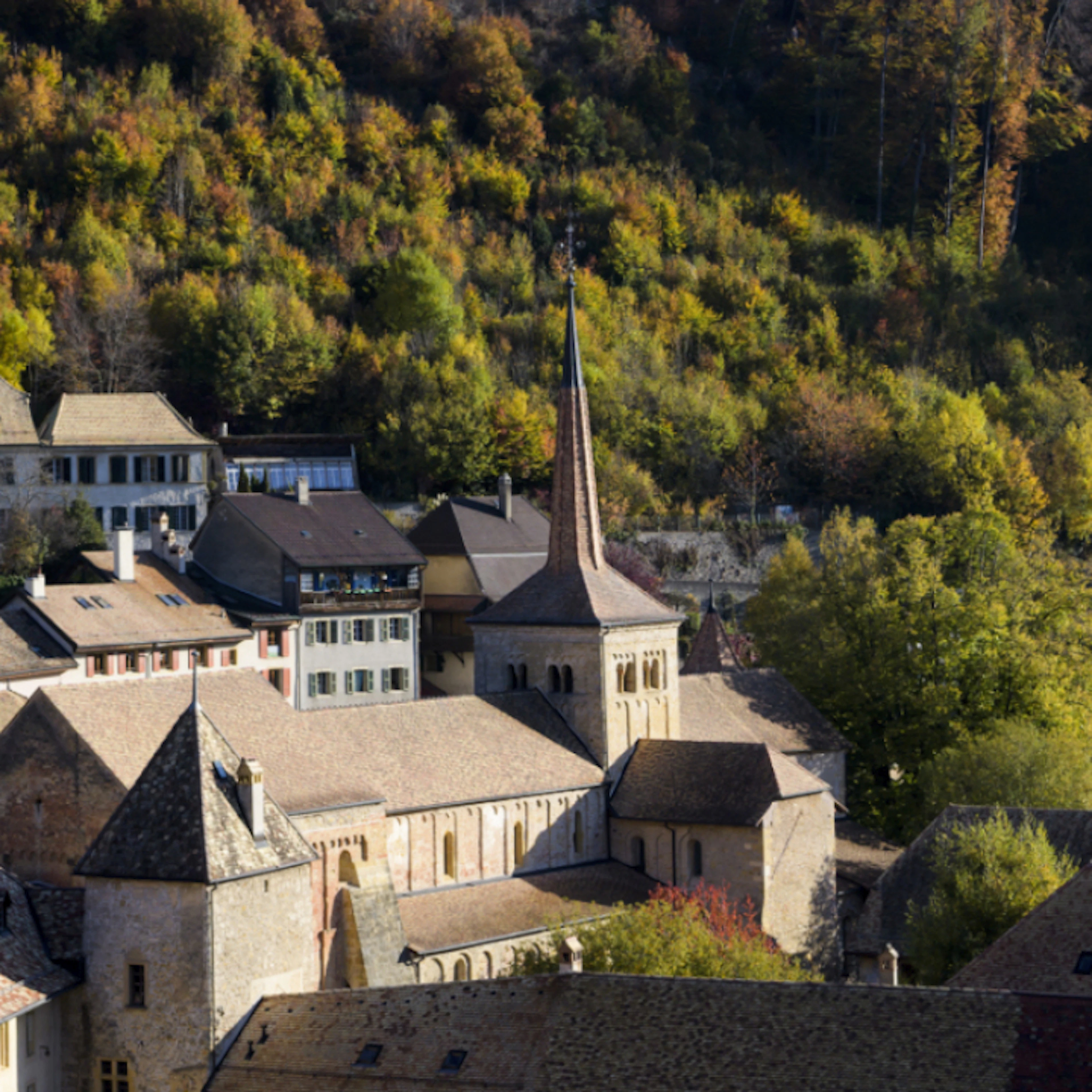 Canton de Vaud