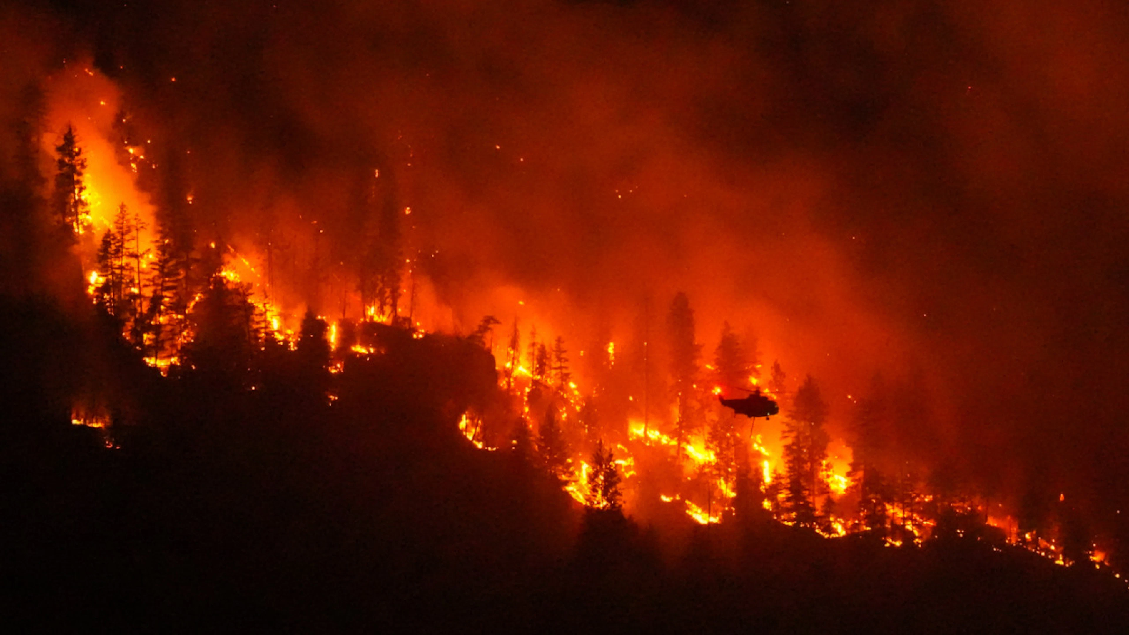 Vasti incendi