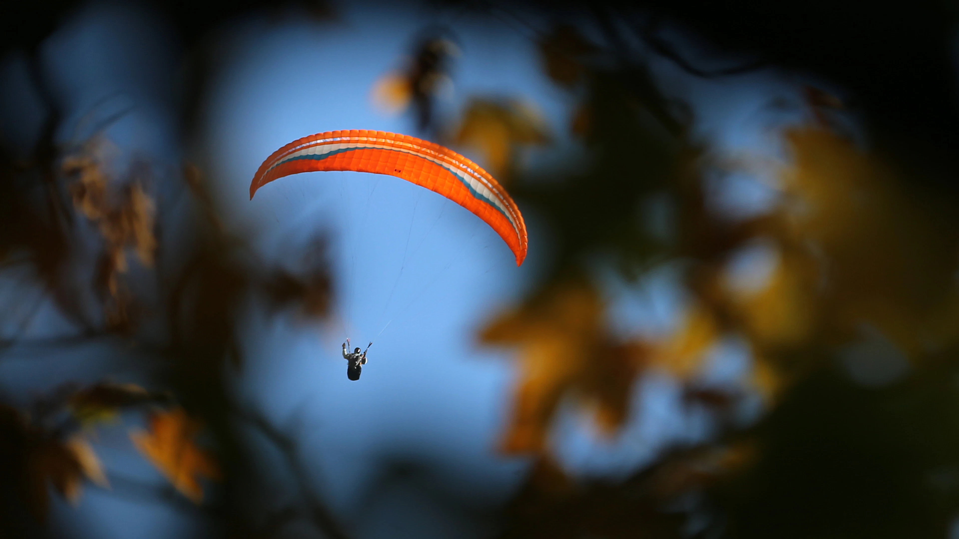 Parapendista rimane bloccato su un albero a Melano