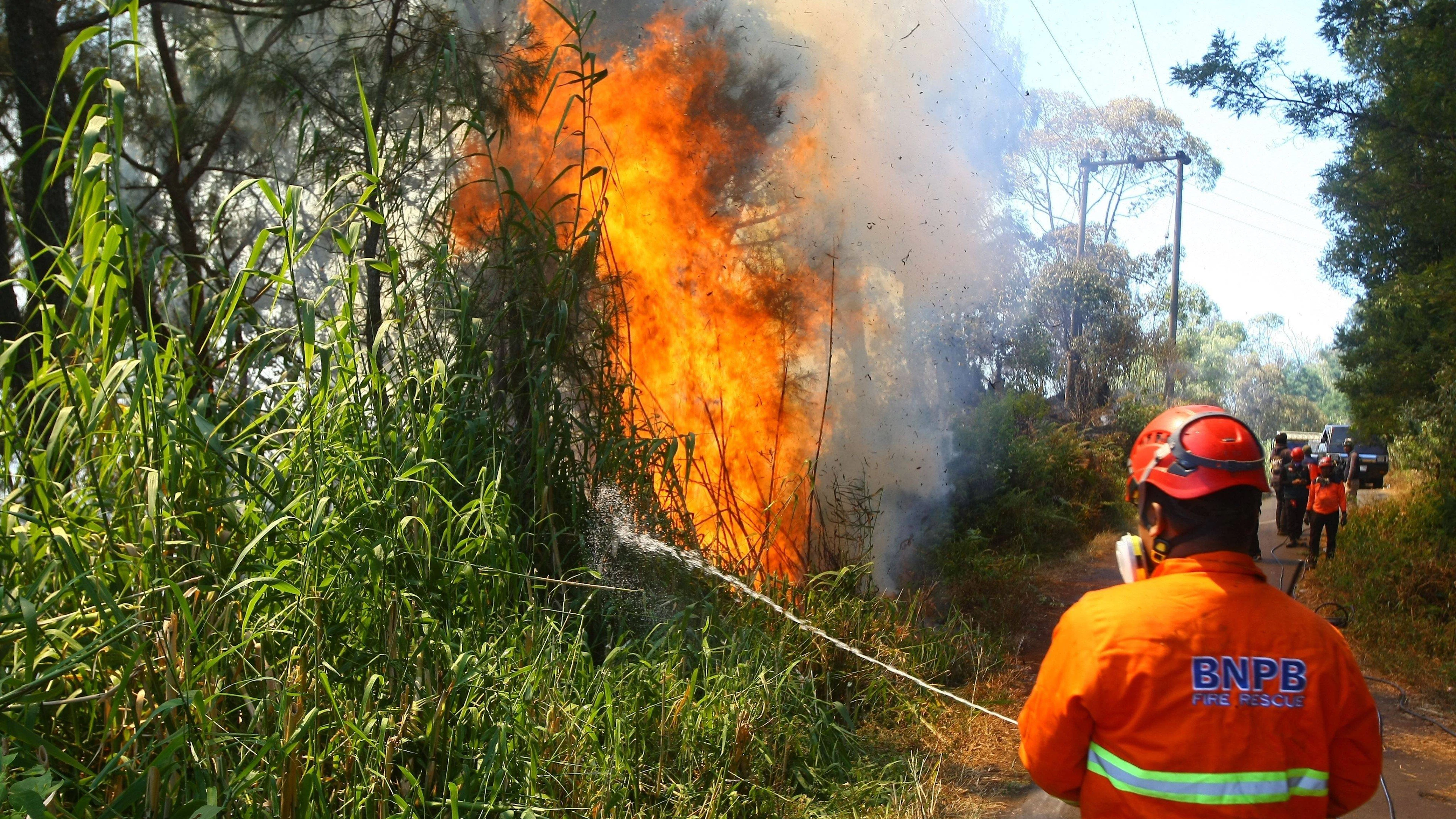 Un parc national, prisé des touristes, fermé à Java à cause des incendies