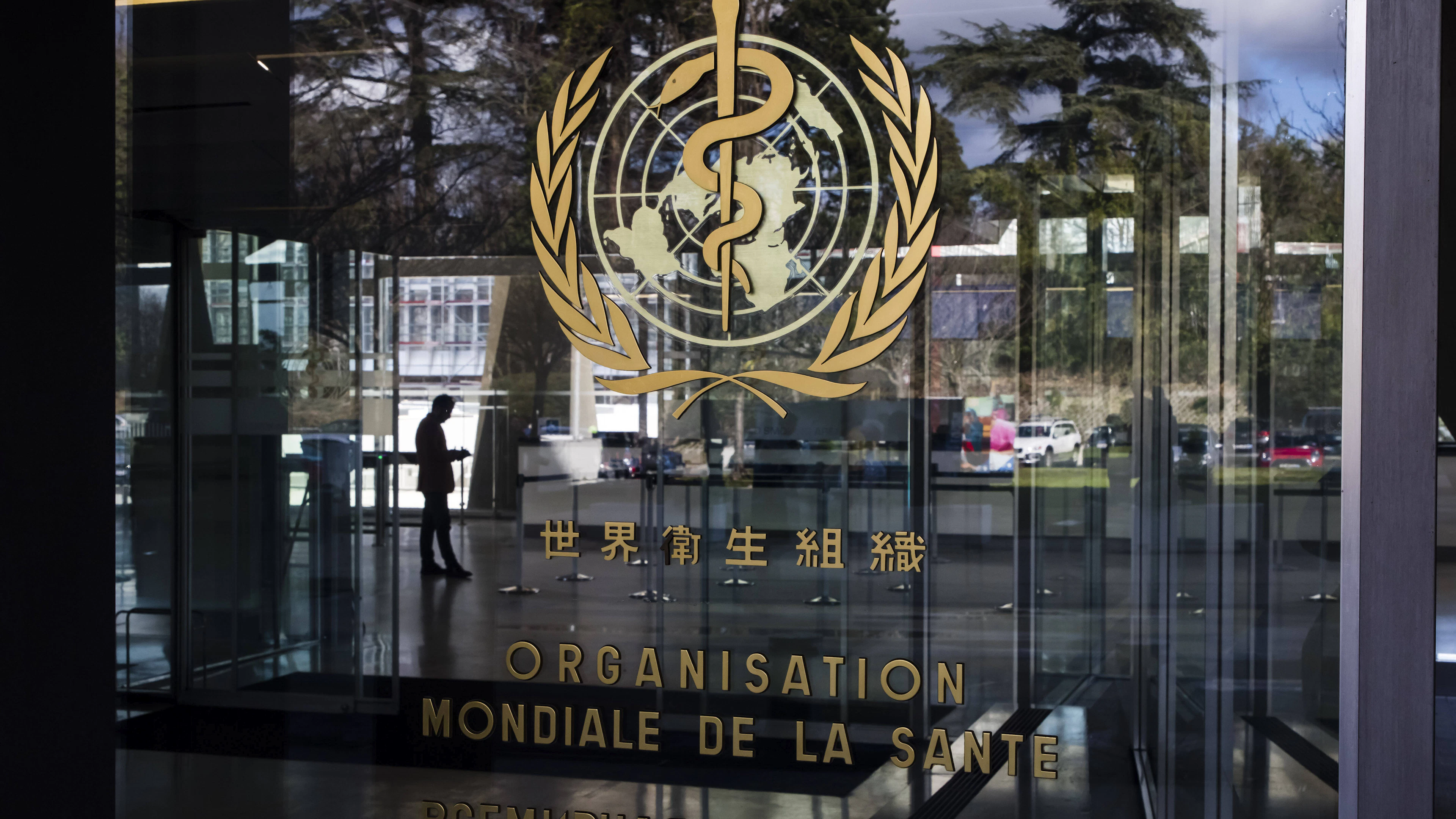 Guerre en Ukraine : un entrepôt de l'OMS «frappé et détruit»