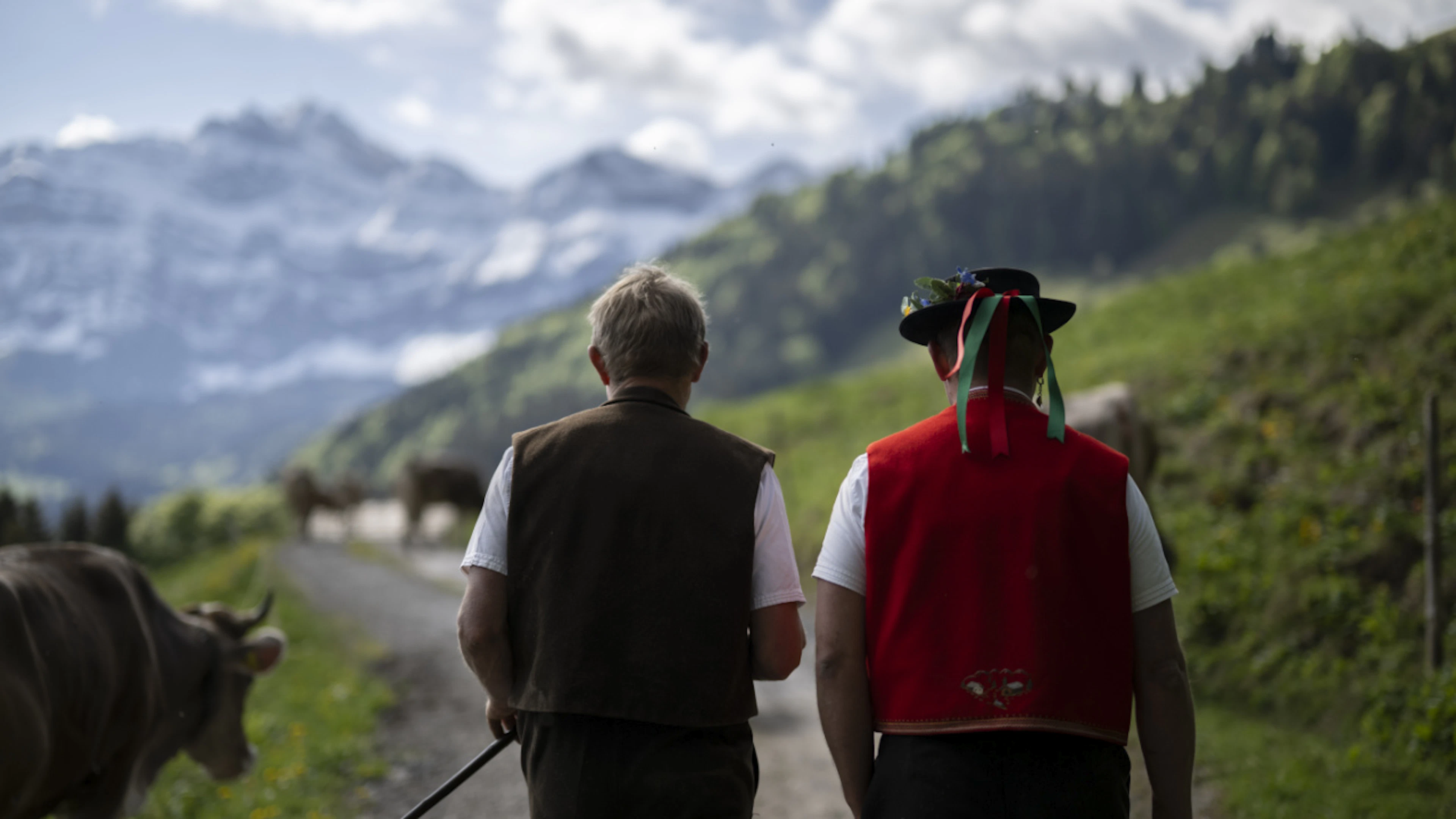 In aumento lo stress per la siccità tra le famiglie contadine in Svizzera