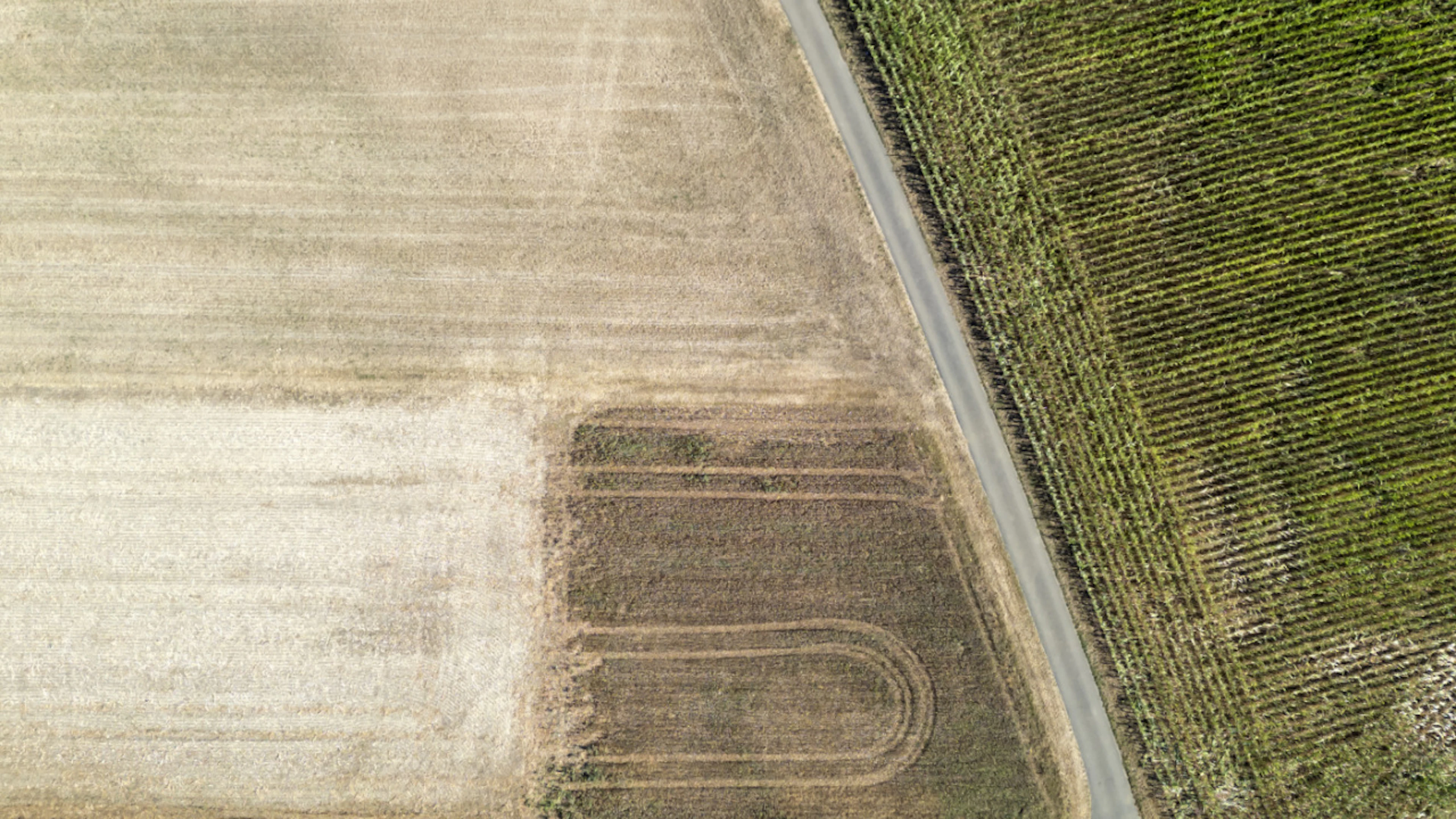 Il settore agricolo svizzero segnala danni per oltre 19 milioni