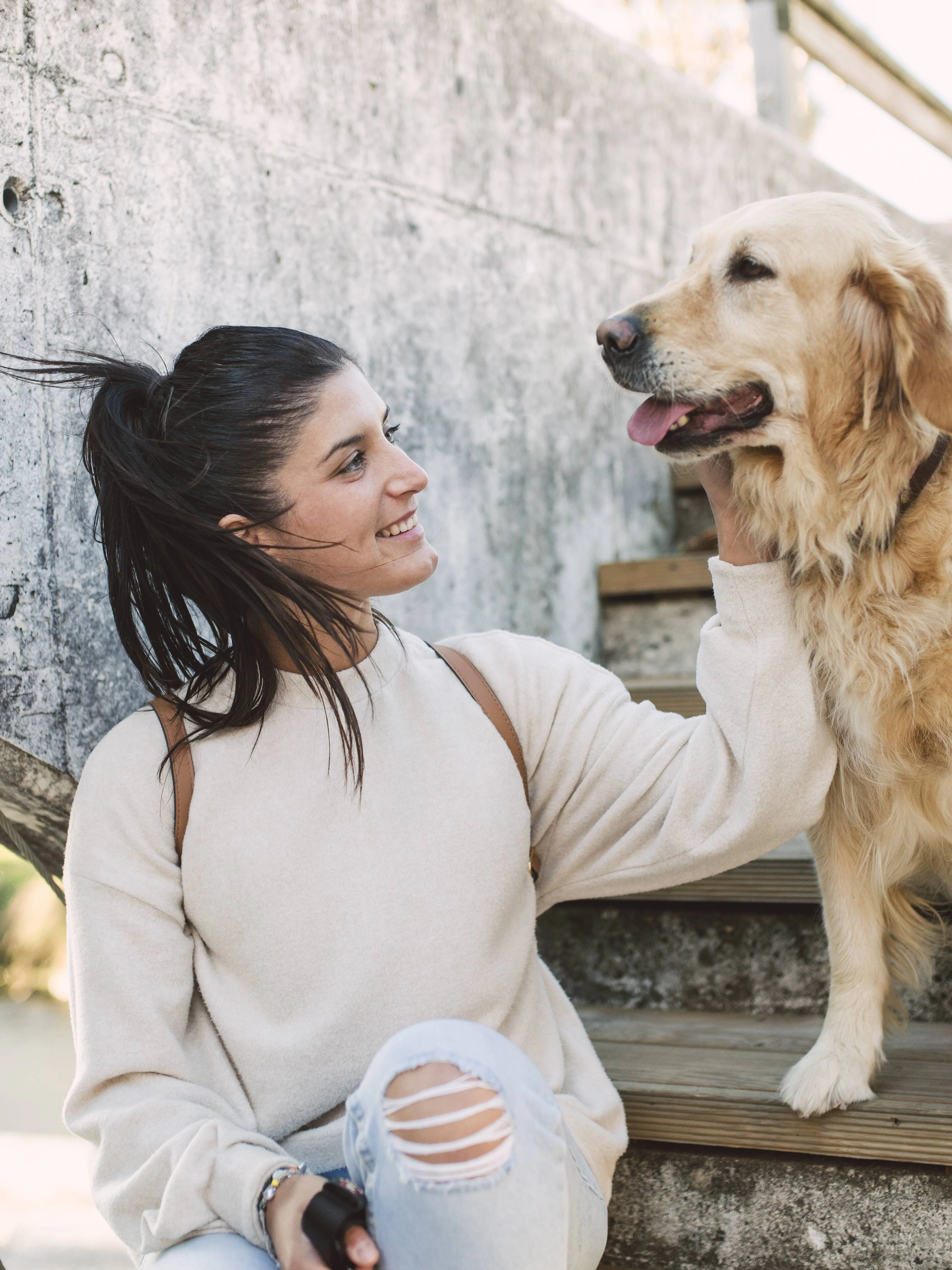 Hunde können Emotionen in menschlichen Gesichtern erkennen – und unterscheiden