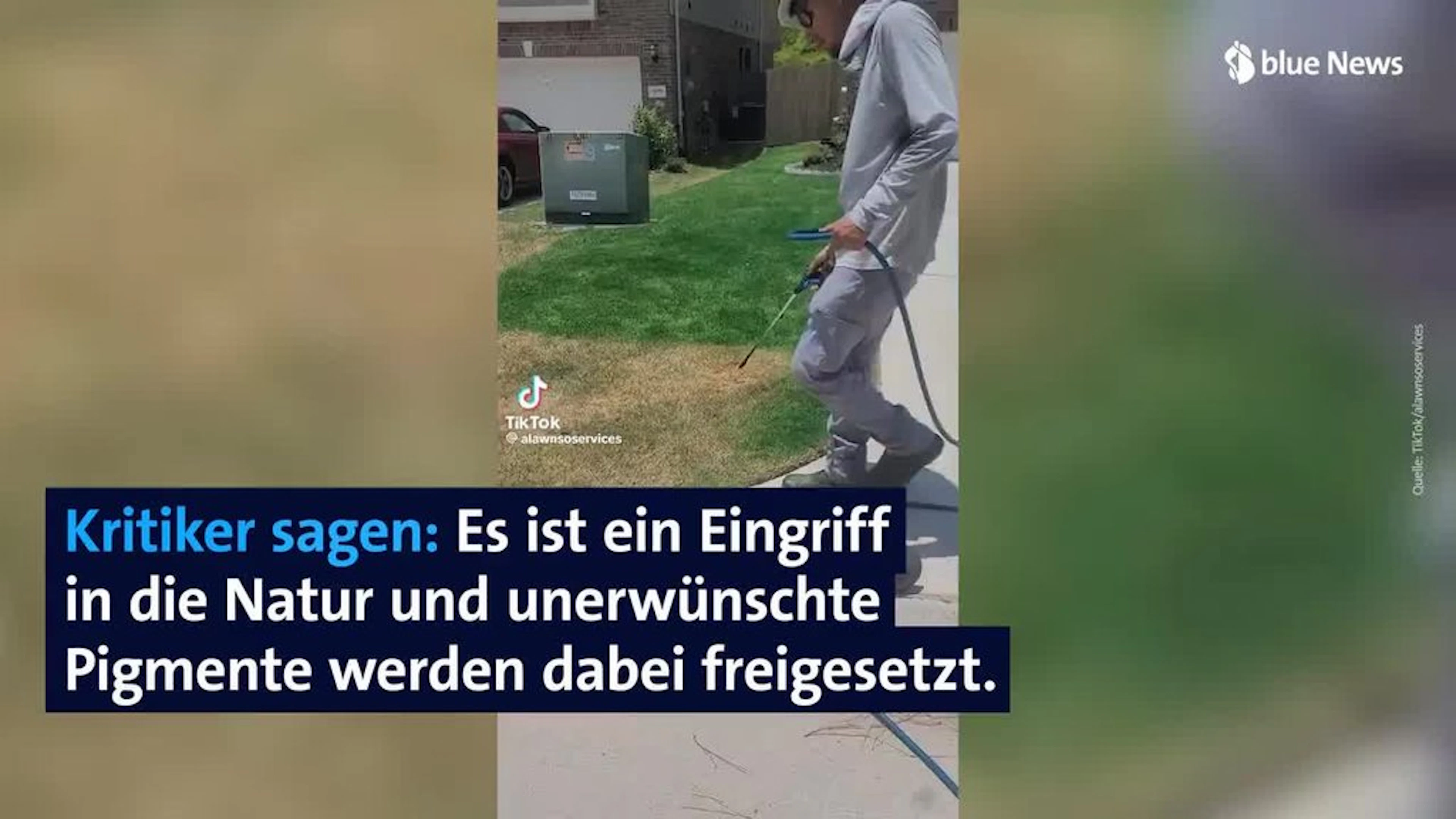 Trauriger Trend: Jetzt wird vertrocknetes Gras einfach grün gespritzt