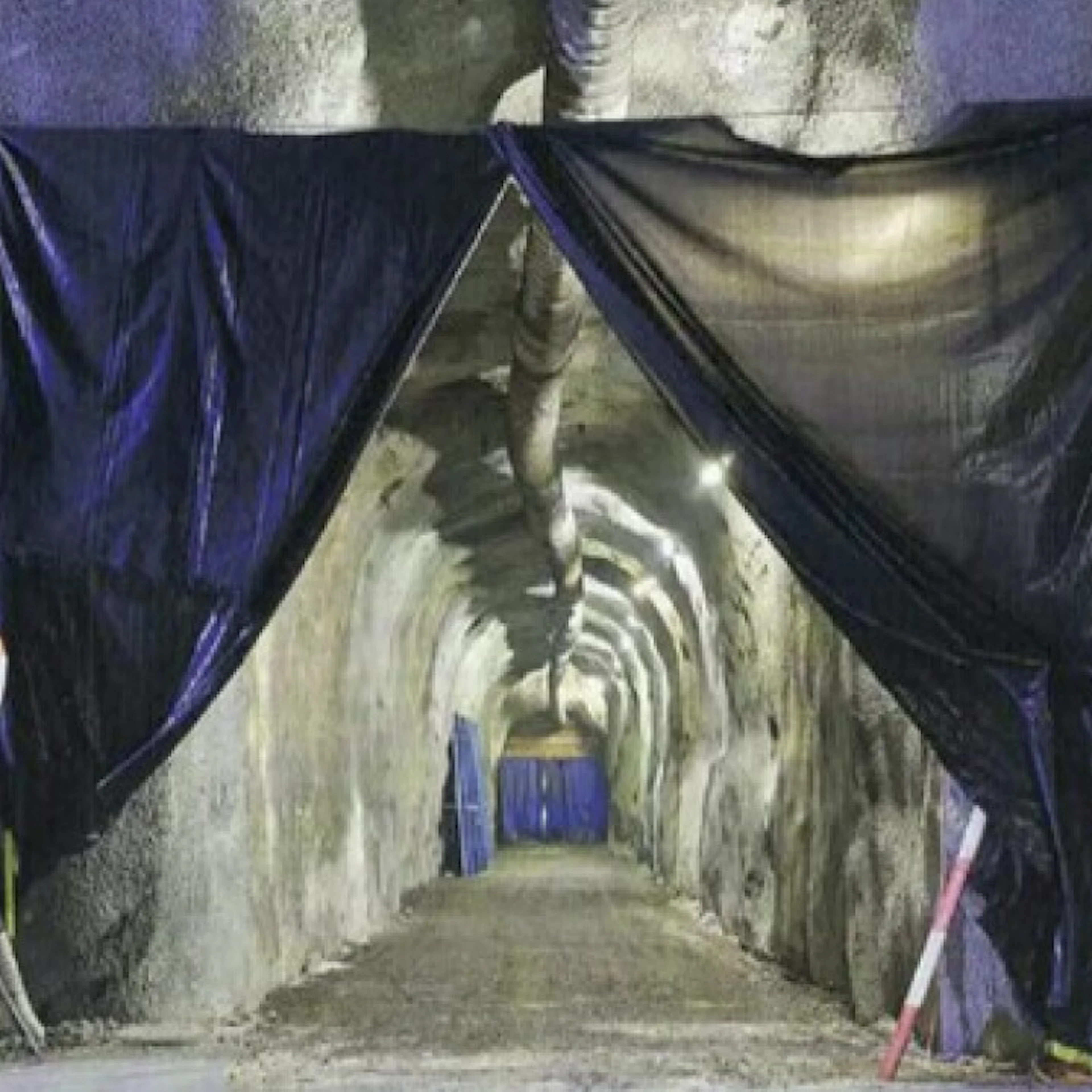 Nel cuore delle Alpi